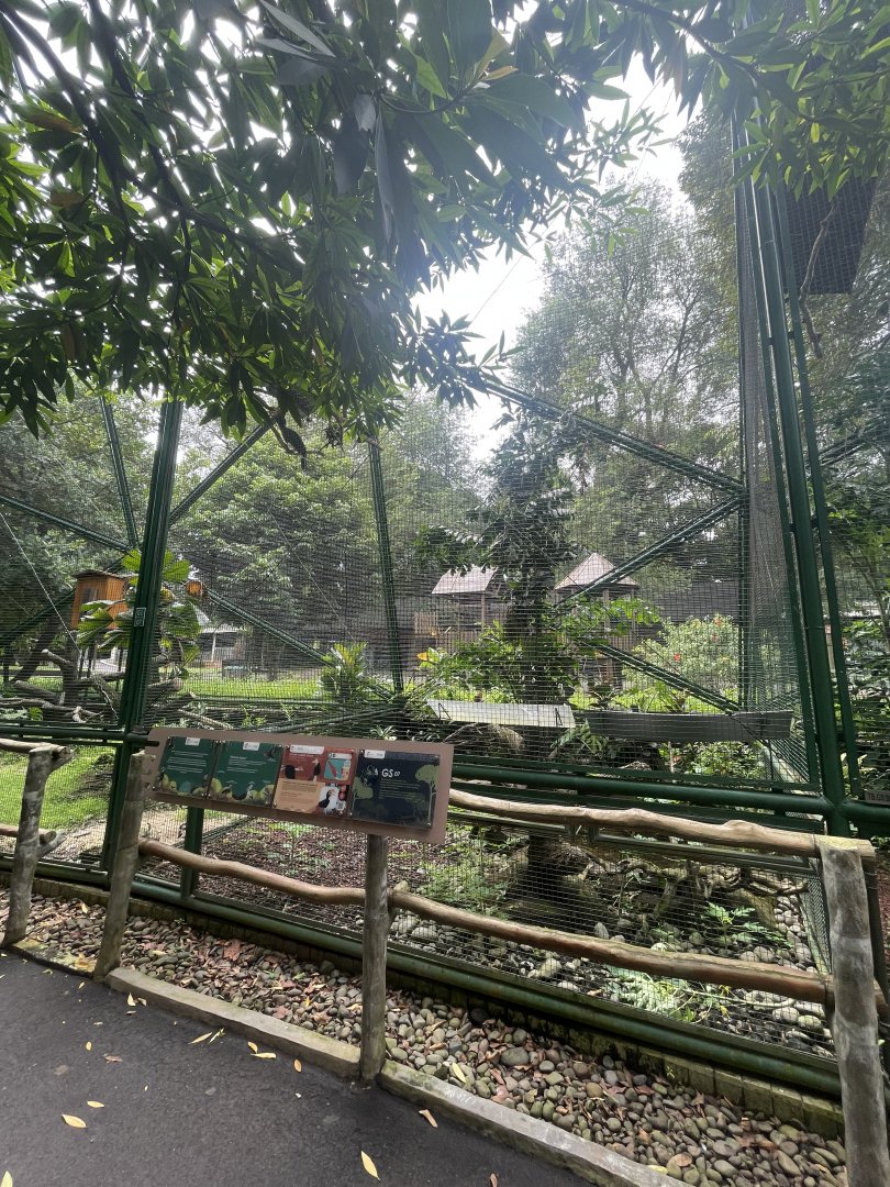 greater sunda - aviary no. 7 - taman burung