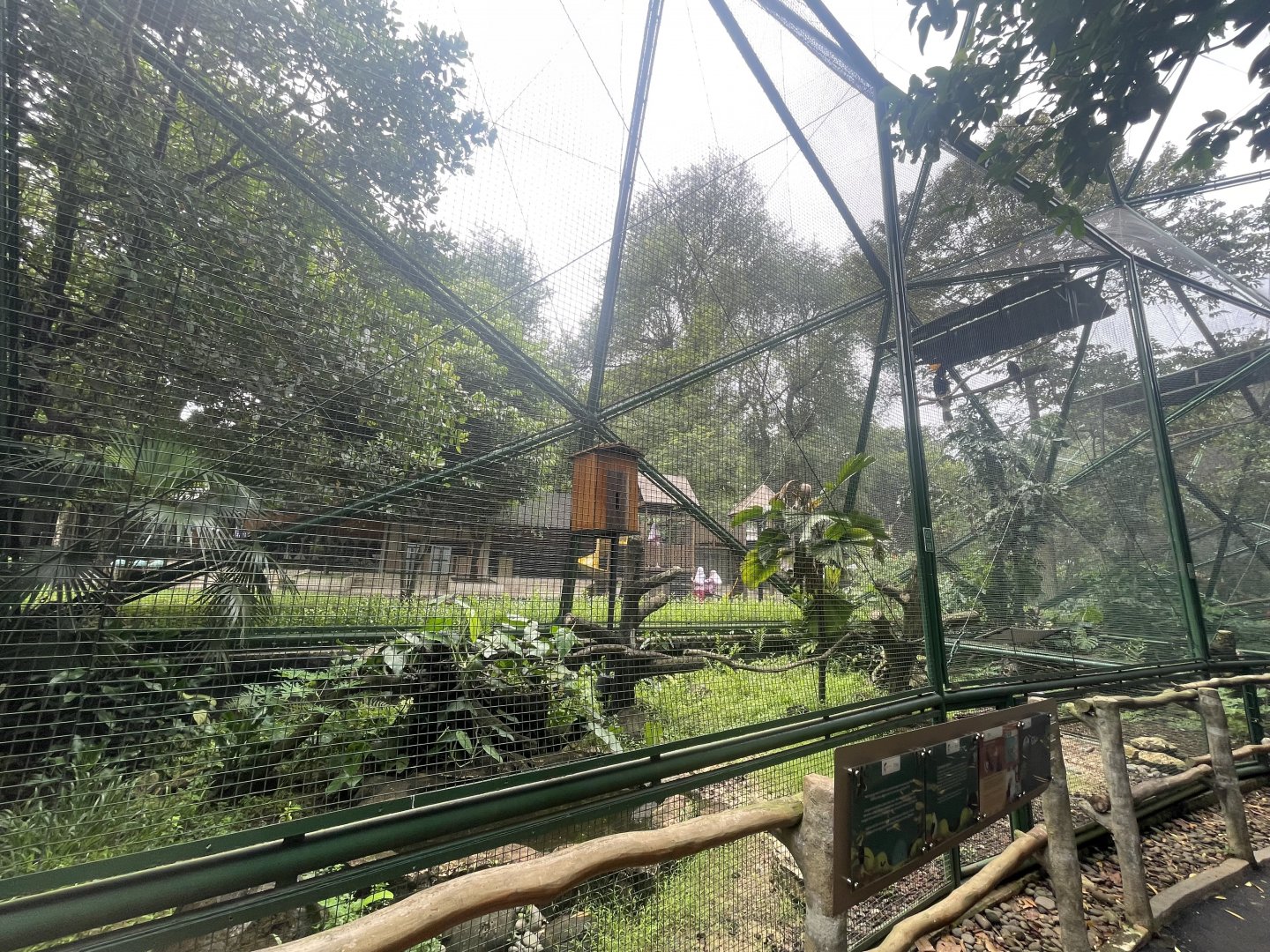 greater sunda - aviary no. 8 - taman burung