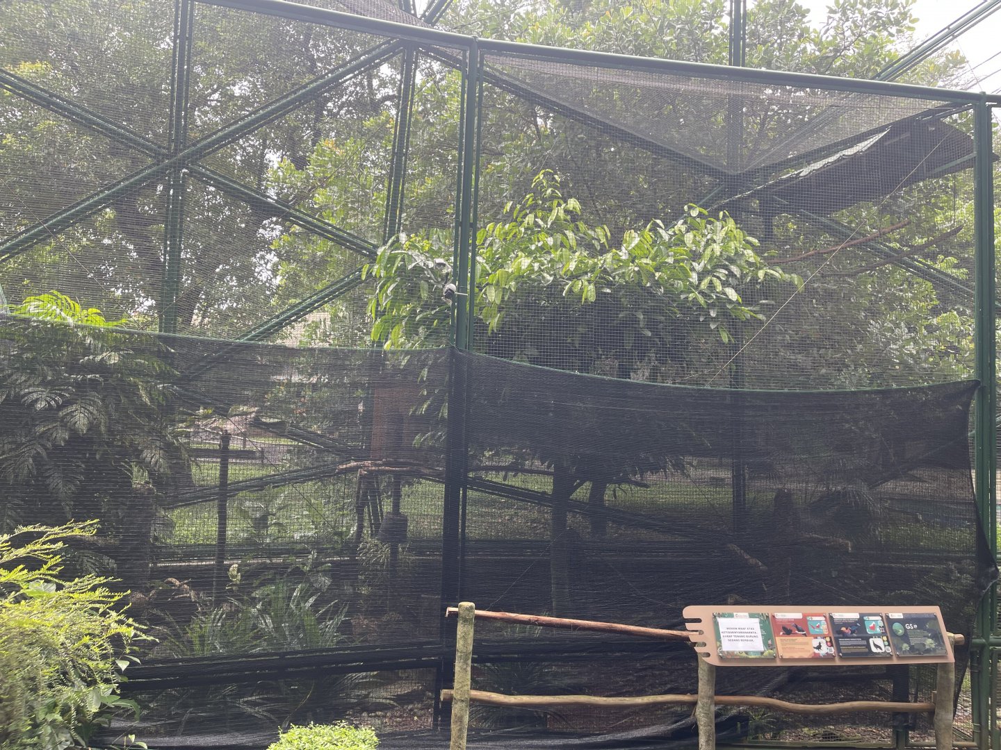 greater sunda - aviary no. 9 (under repair) - taman burung