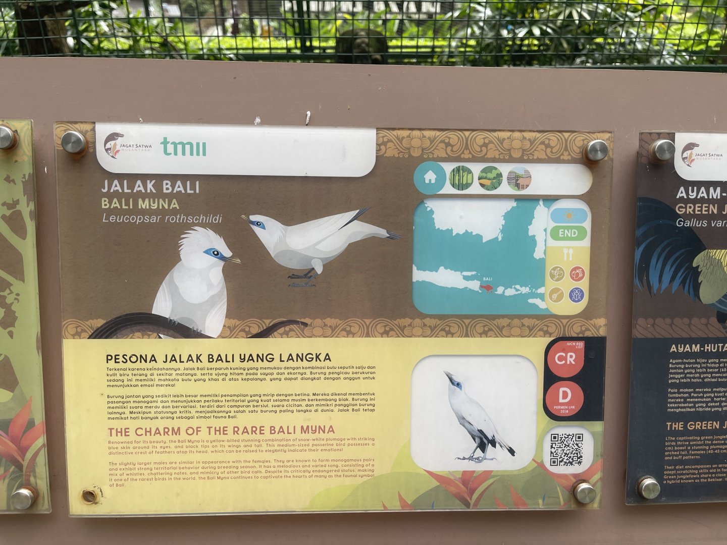 greater sunda - bali myna signage - taman burung