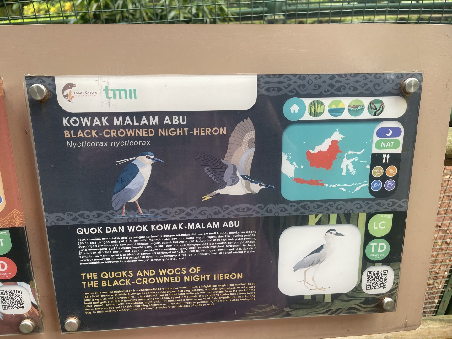 greater sunda - black-crowned night heron signage - taman burung