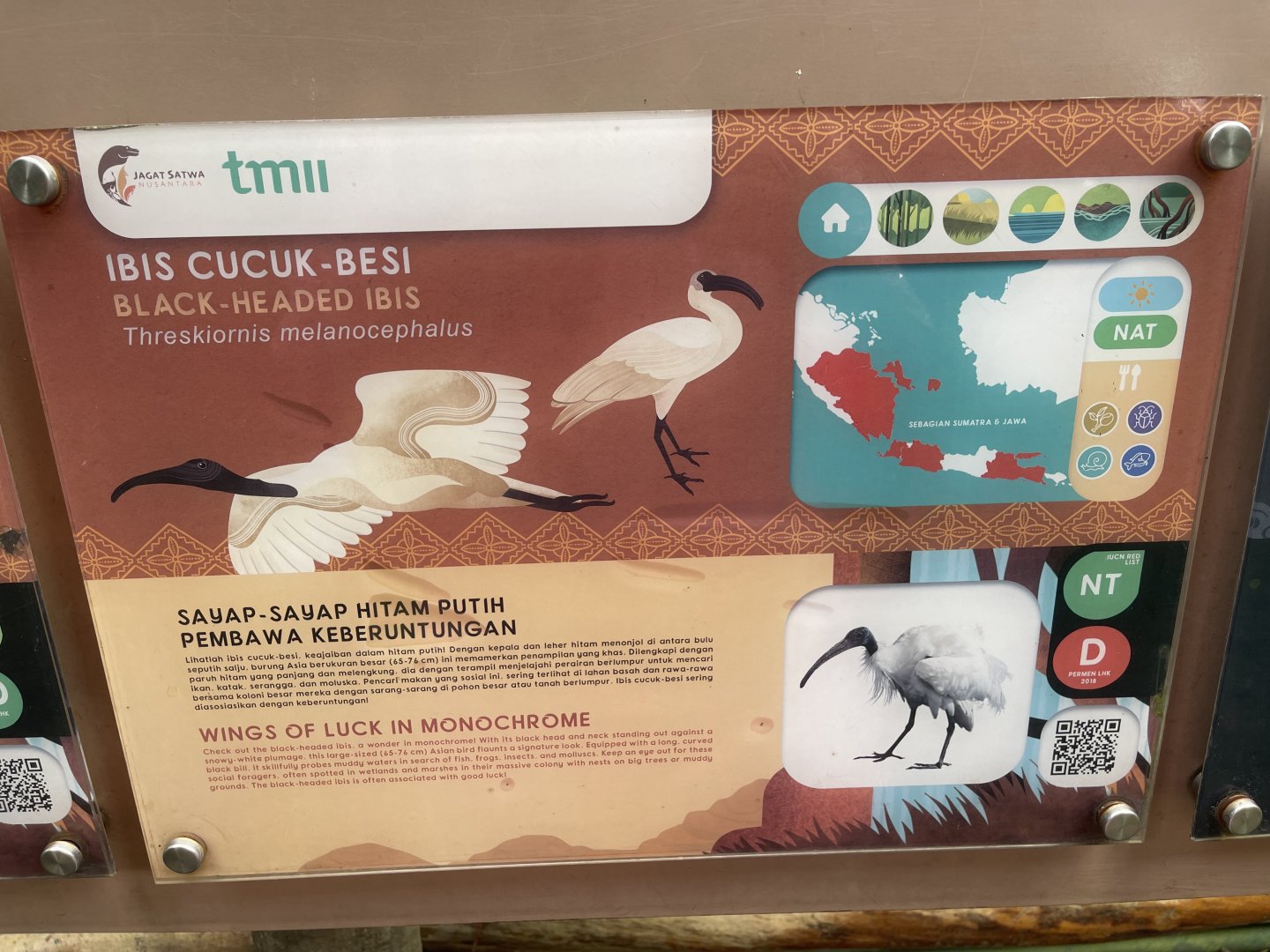 greater sunda - black-headed ibis signage - taman burung