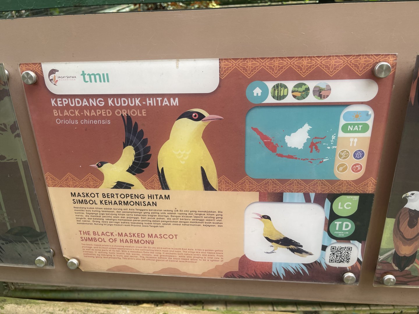 greater sunda - black-naped oriole signage - taman burung