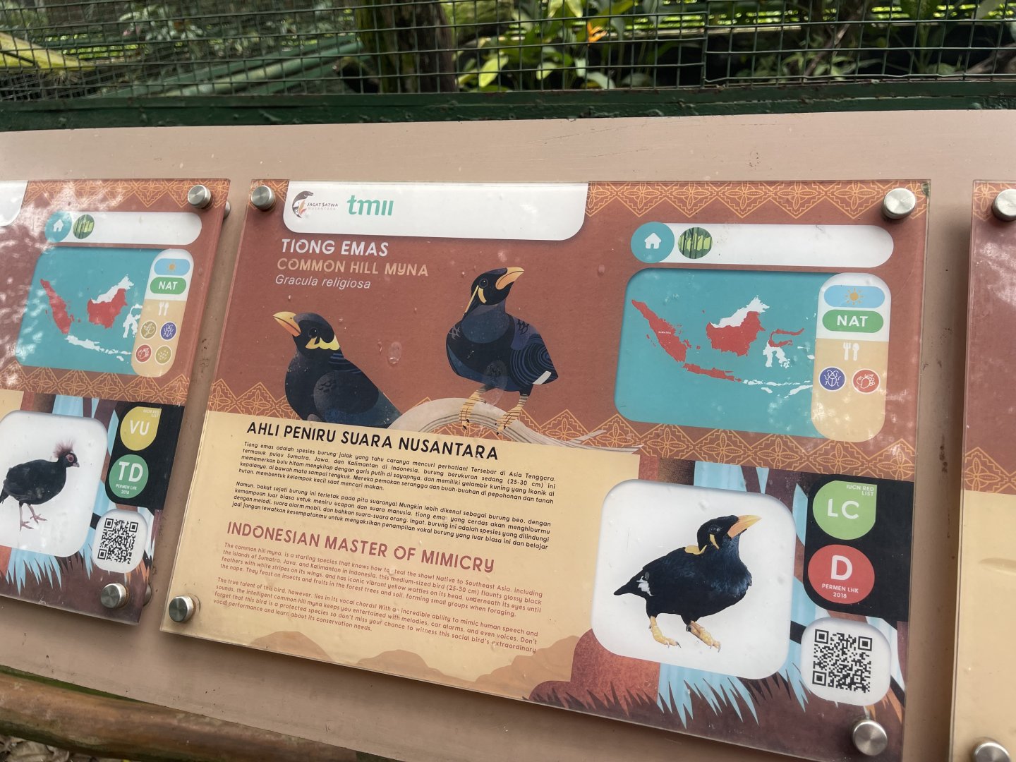greater sunda - common hill myna signage - taman burung