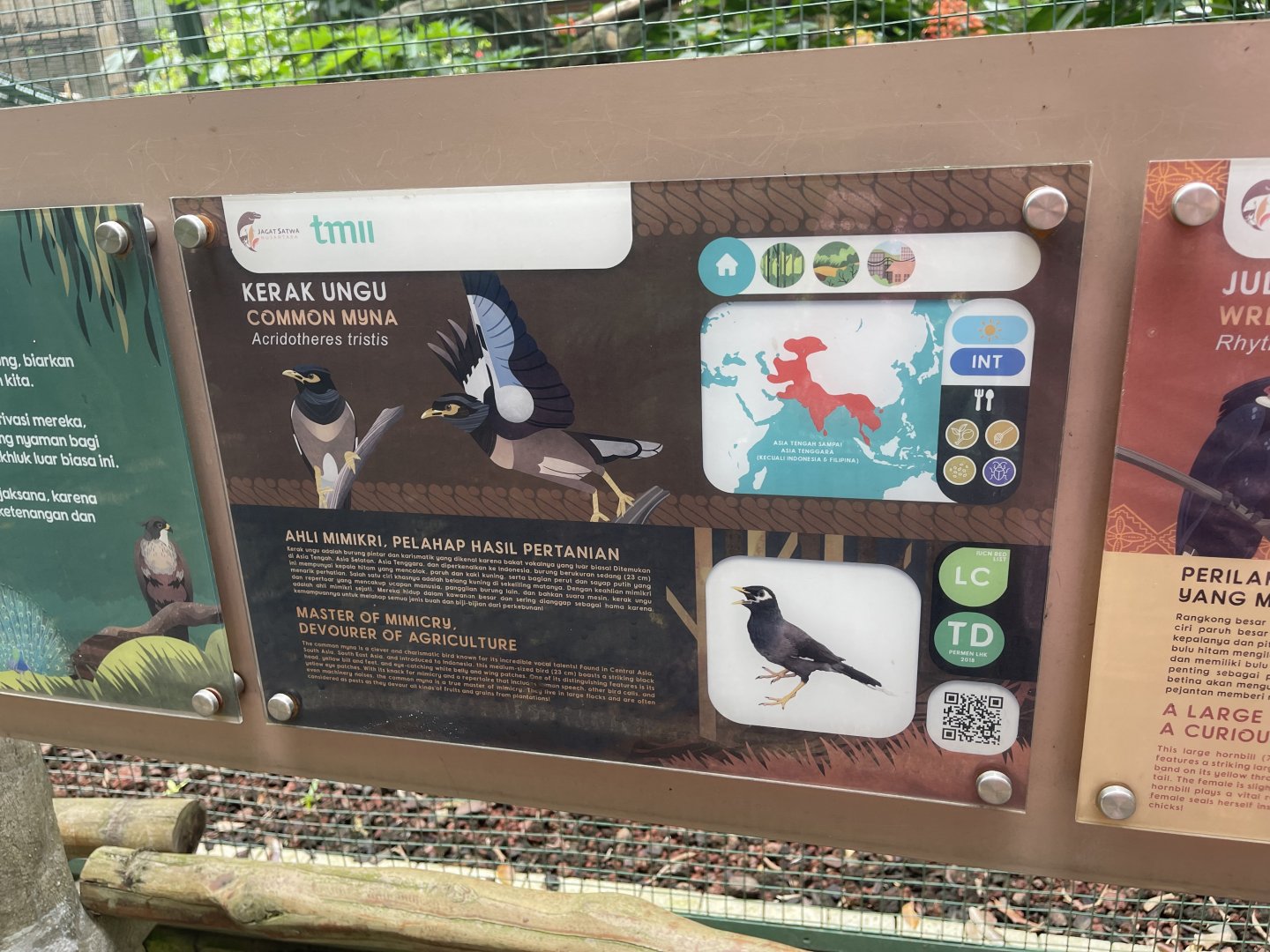 greater sunda - common myna signage - taman burung