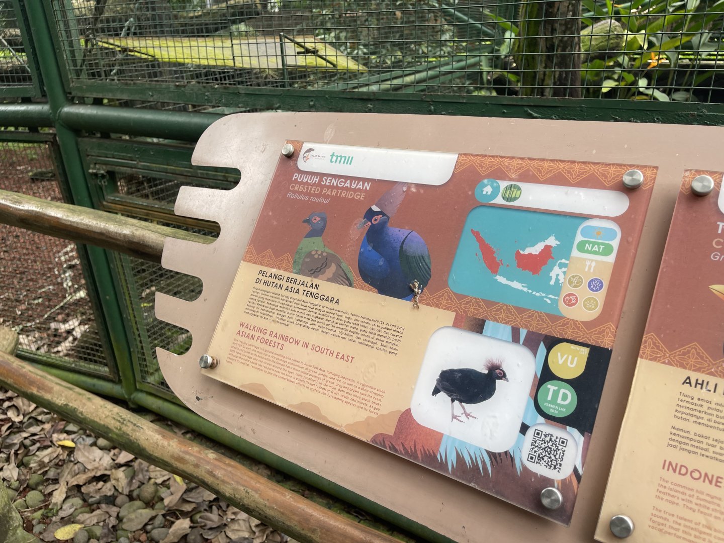 greater sunda - crested partridge signage - taman burung