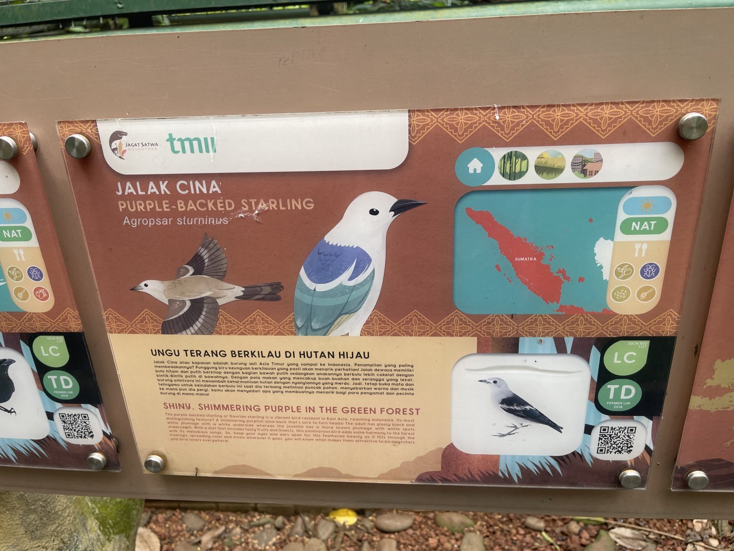 greater sunda - daurian starling signage - taman burung