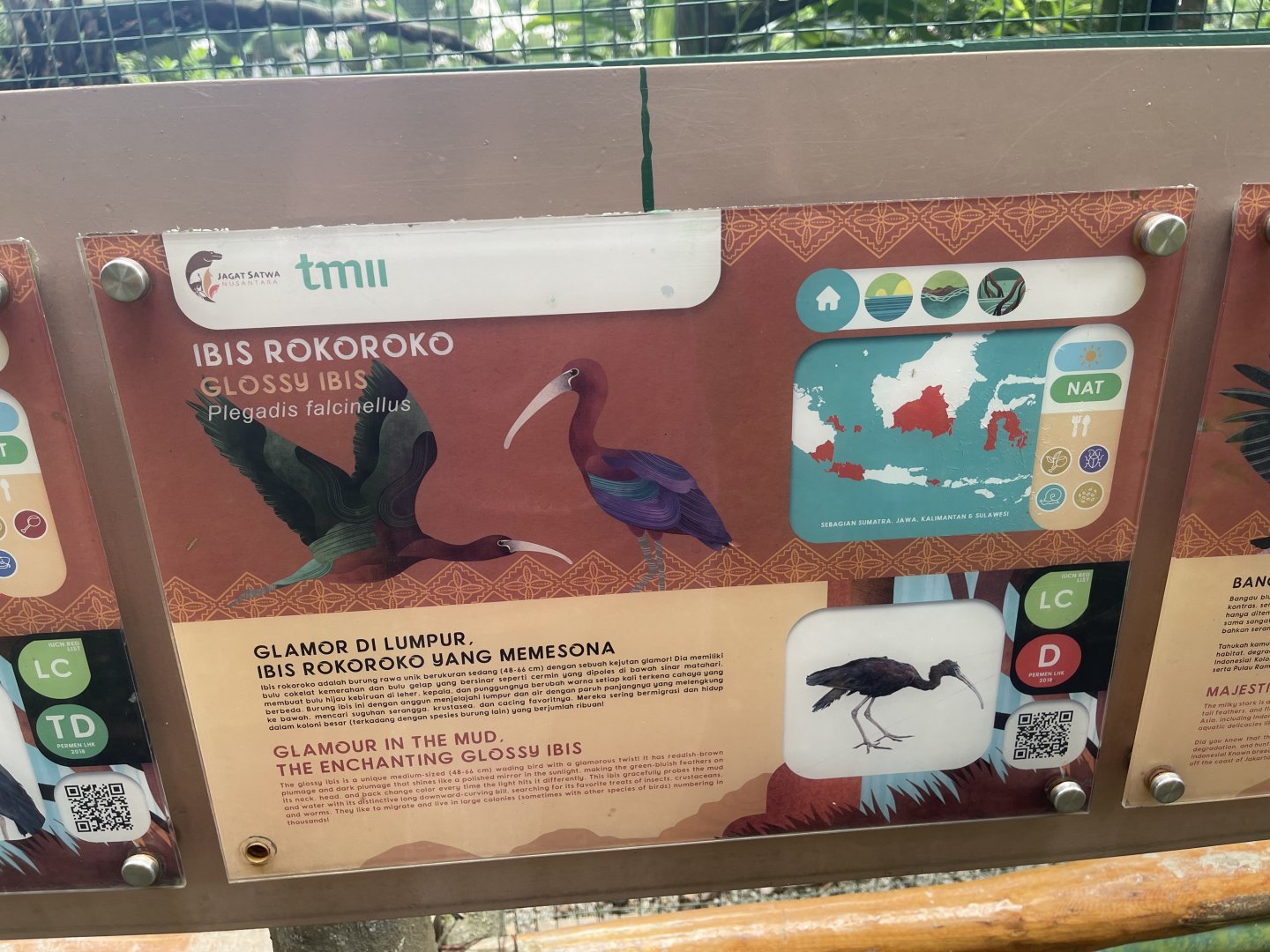 greater sunda - glossy ibis signage - taman burung
