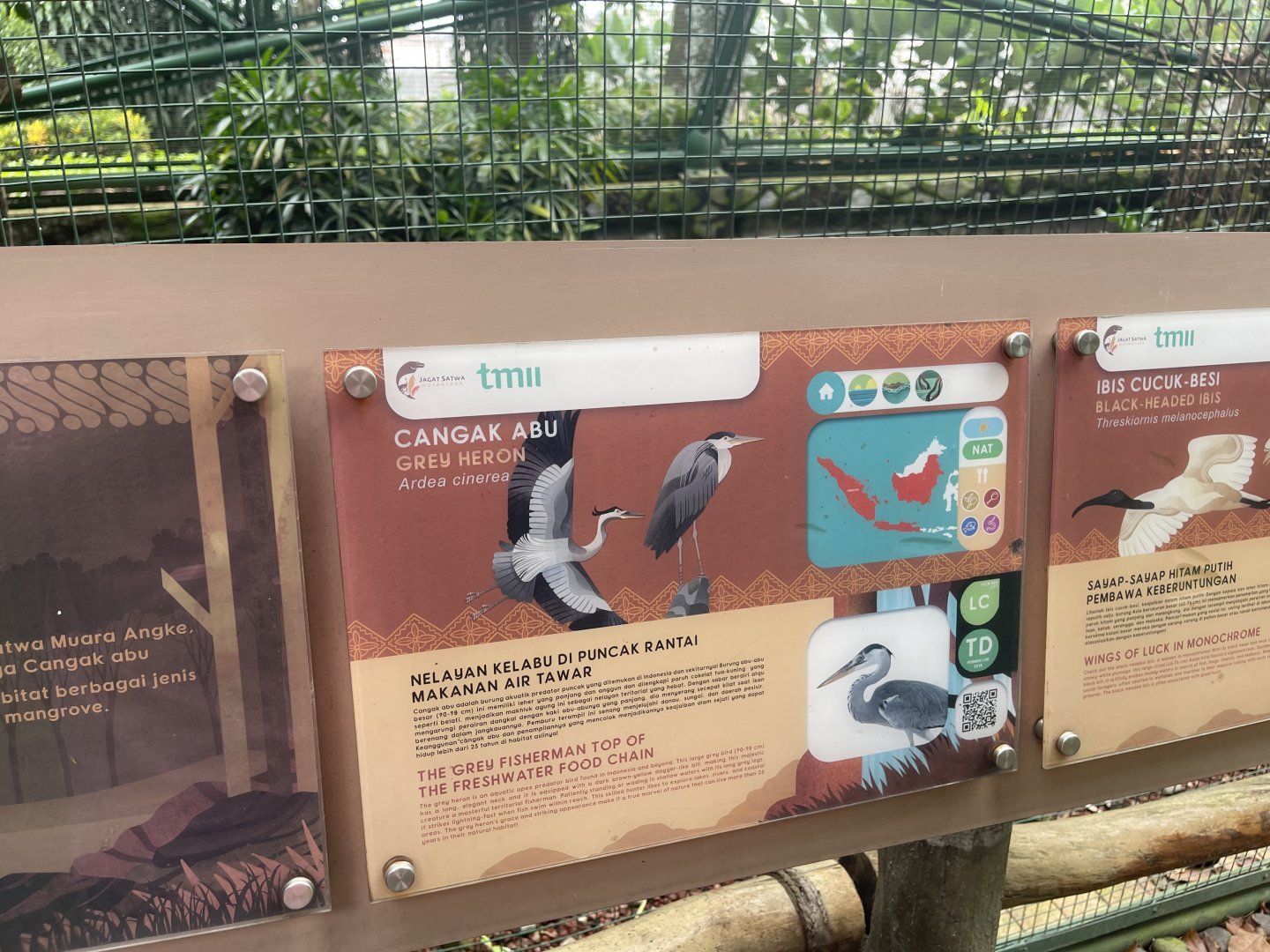 greater sunda - grey heron signage - taman burung
