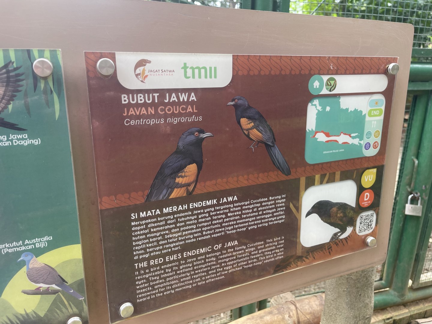 greater sunda - javan coucal signage - taman burung
