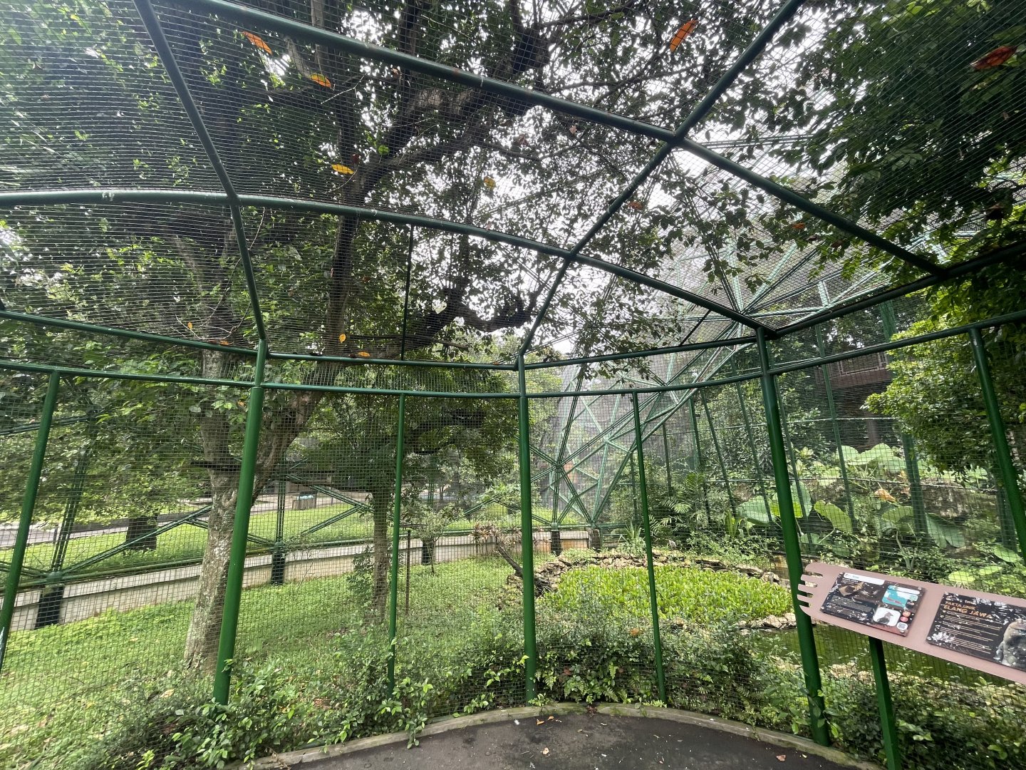 greater sunda - javan hawk-eagle aviary - taman burung