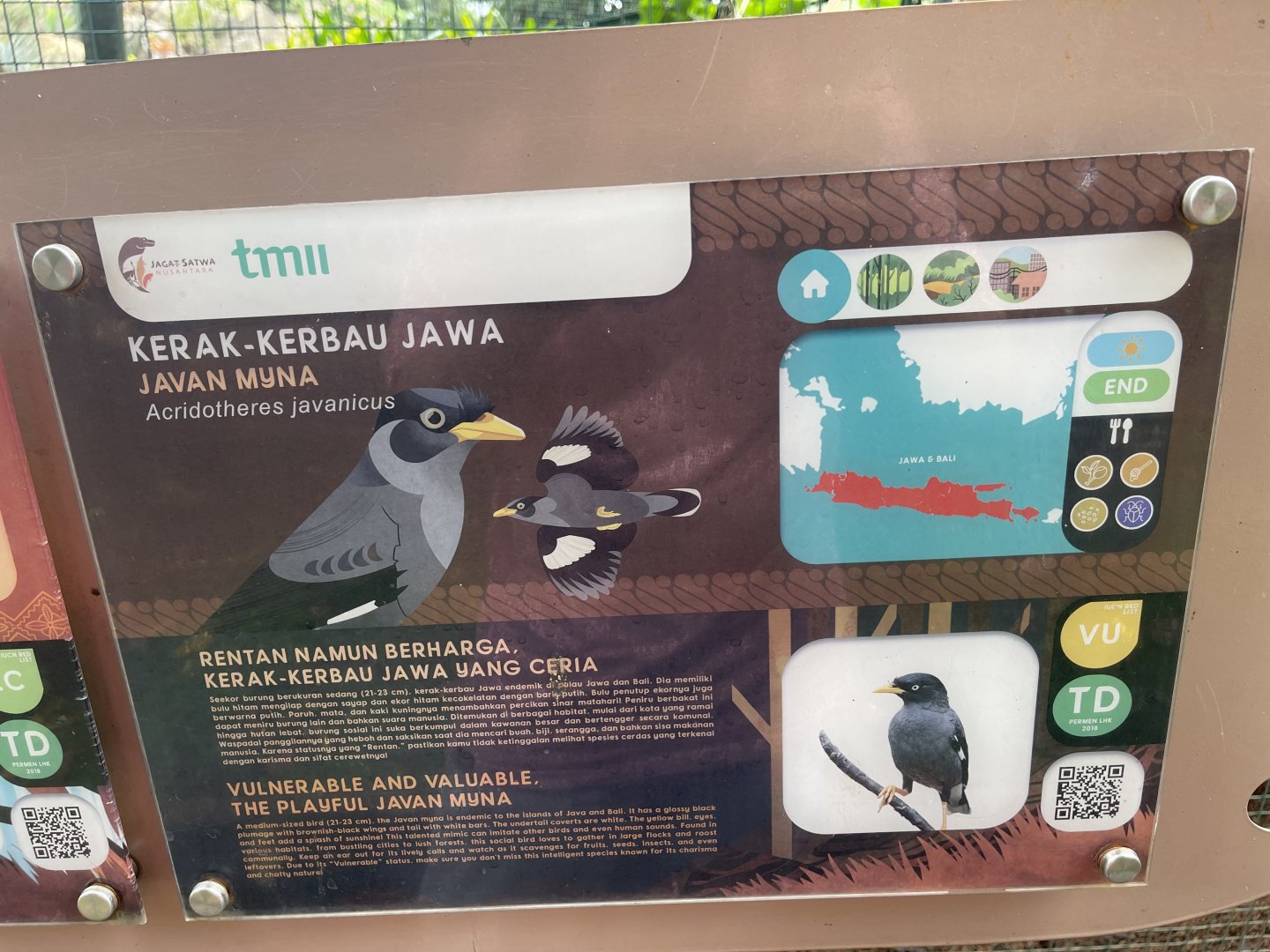 greater sunda - javan myna signage - taman burung