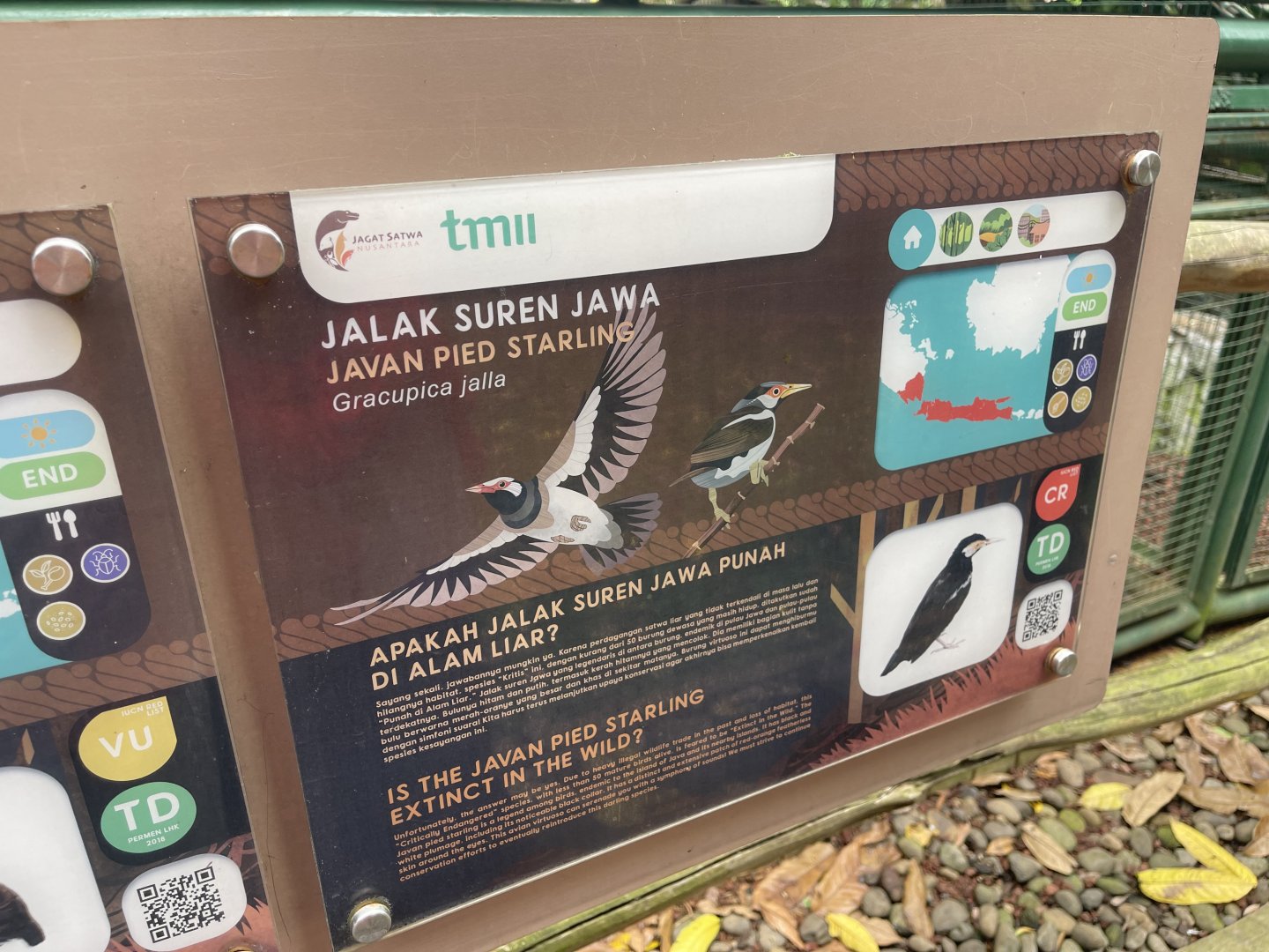 greater sunda - javan pied myna signage - taman burung
