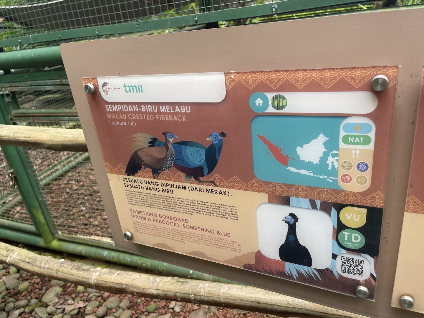 greater sunda - malayan crested fireback signage - taman burung