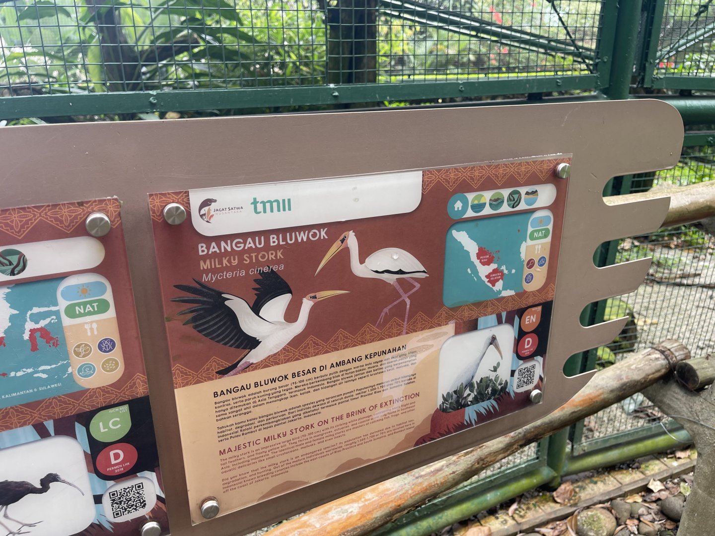 greater sunda - milky stork signage - taman burung