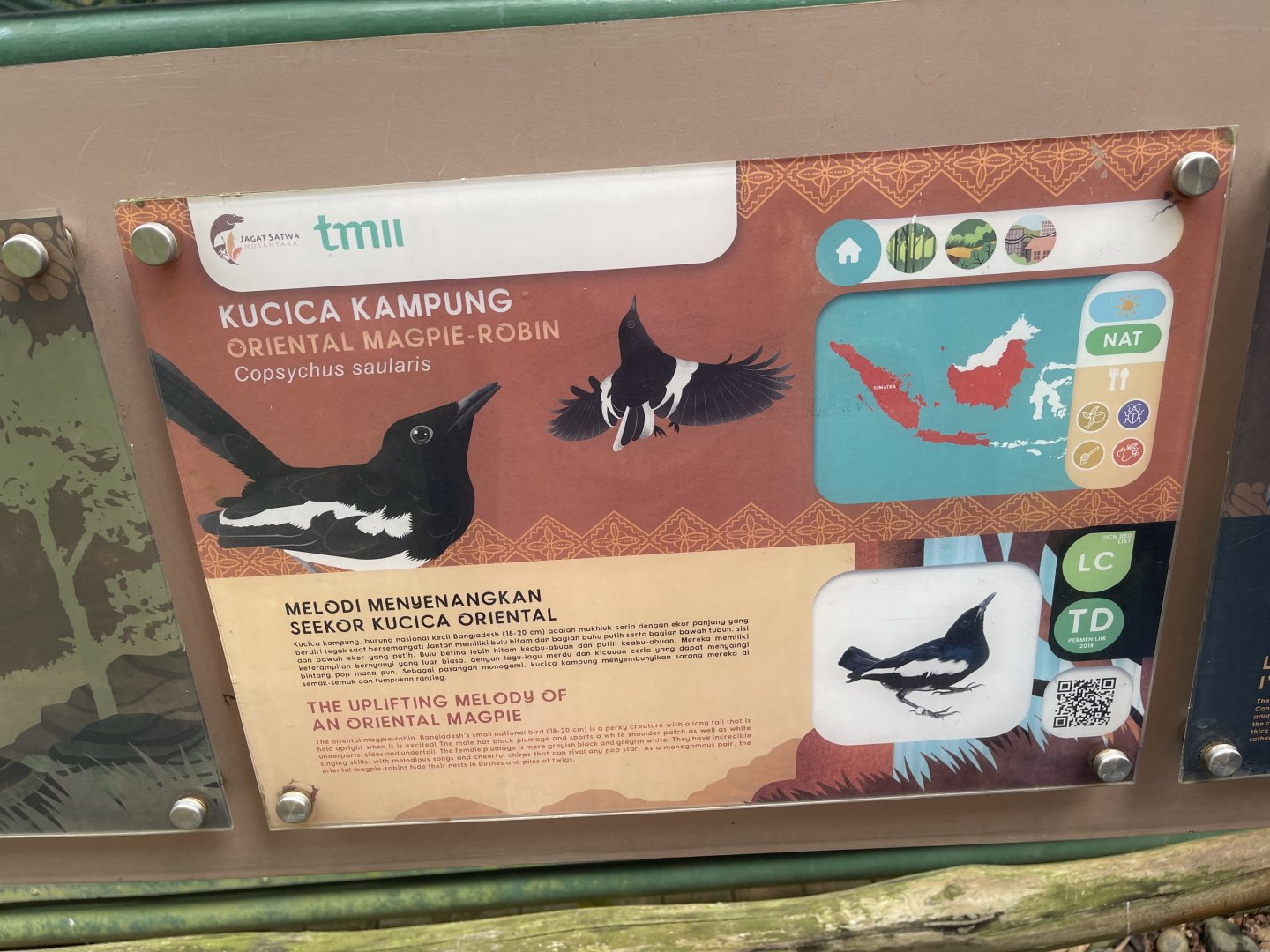 greater sunda - oriental magpie-robin signage - taman burung