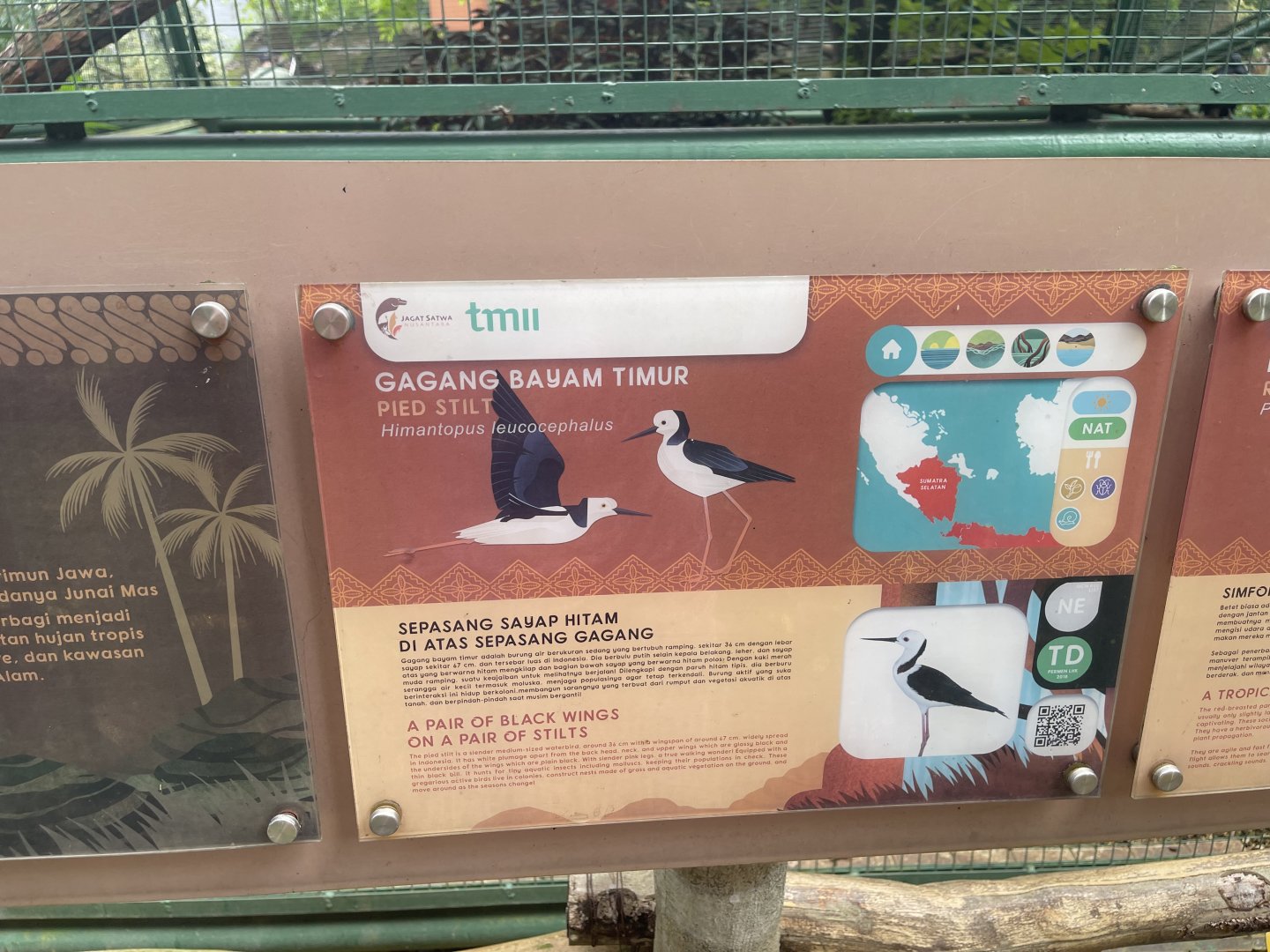 greater sunda - pied stilt signage - taman burung