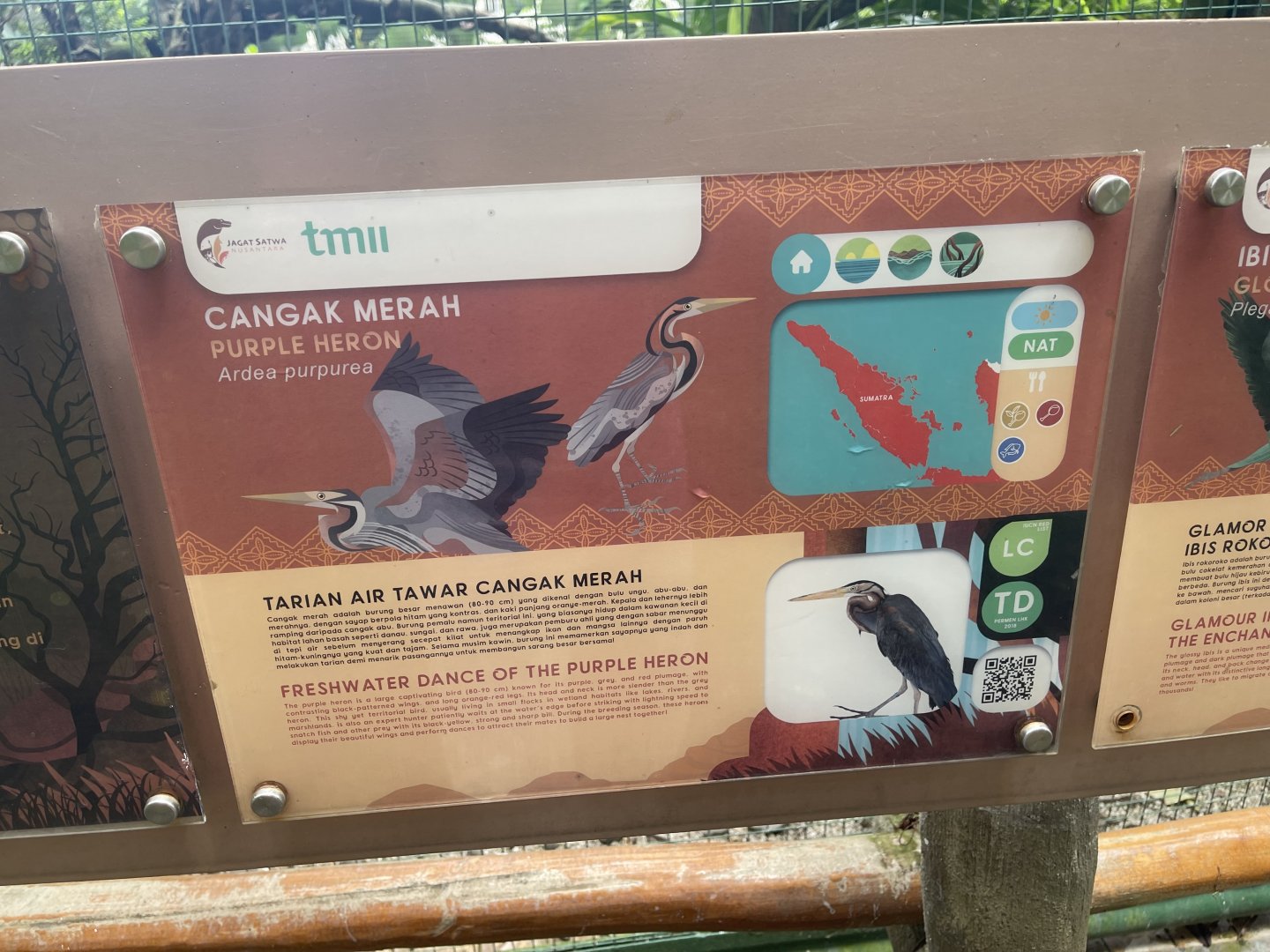 greater sunda - purple heron signage - taman burung