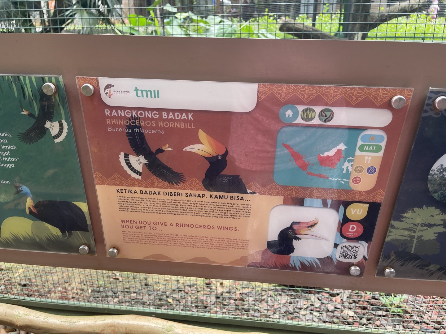 greater sunda - rhinoceros hornbill signage - taman burung