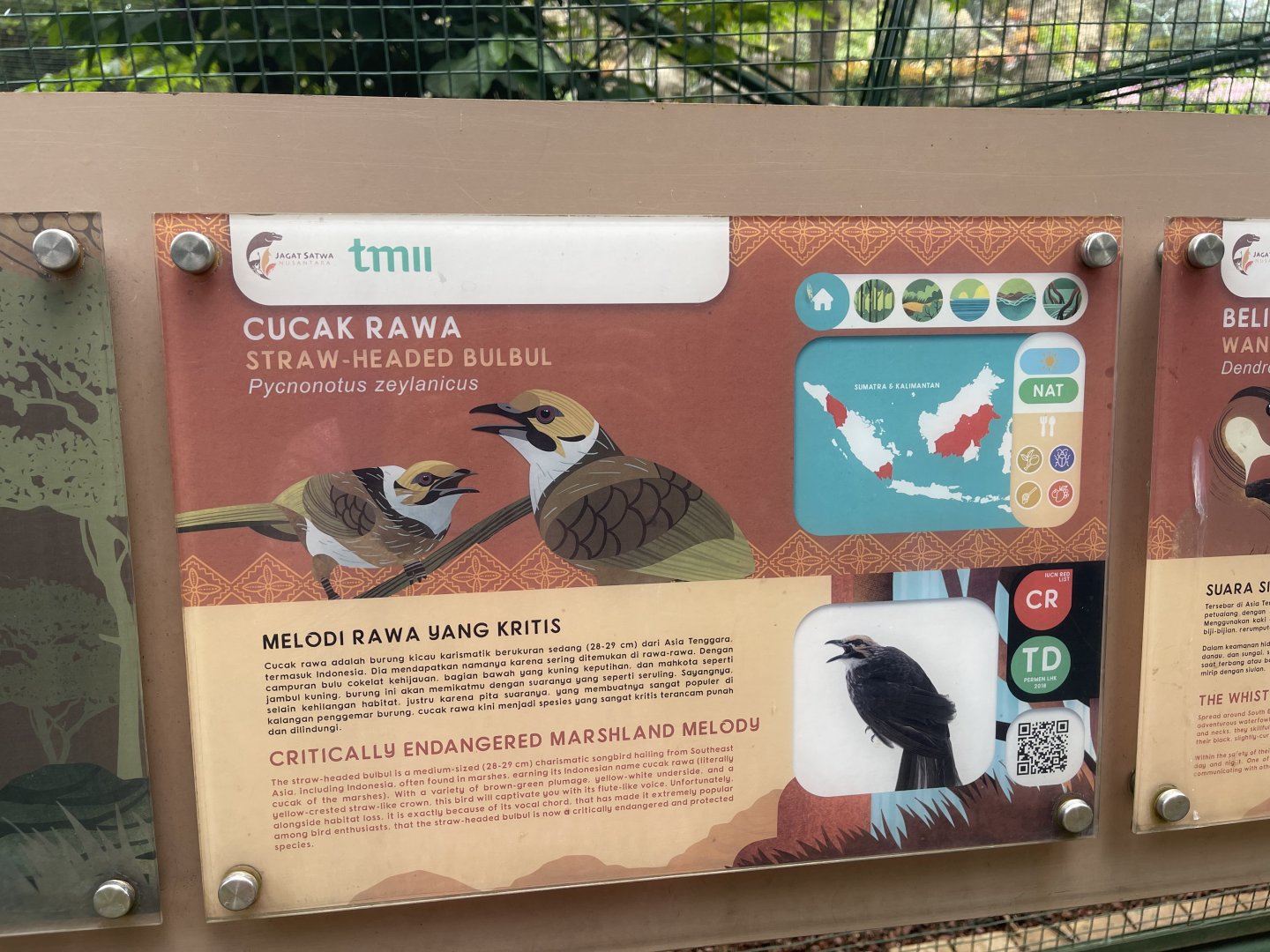greater sunda - straw-headed bulbul signage - taman burung