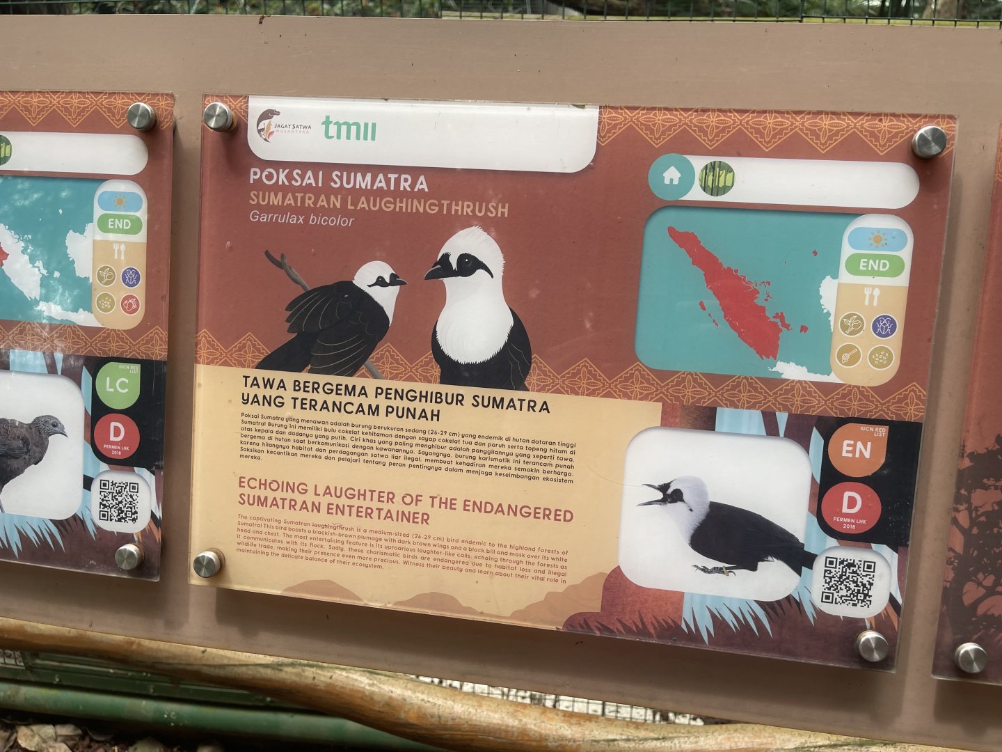 greater sunda - sumatran laughingthrush signage - taman burung