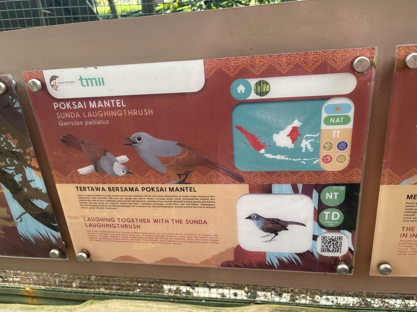 greater sunda - sunda laughingthrush signage - taman burung