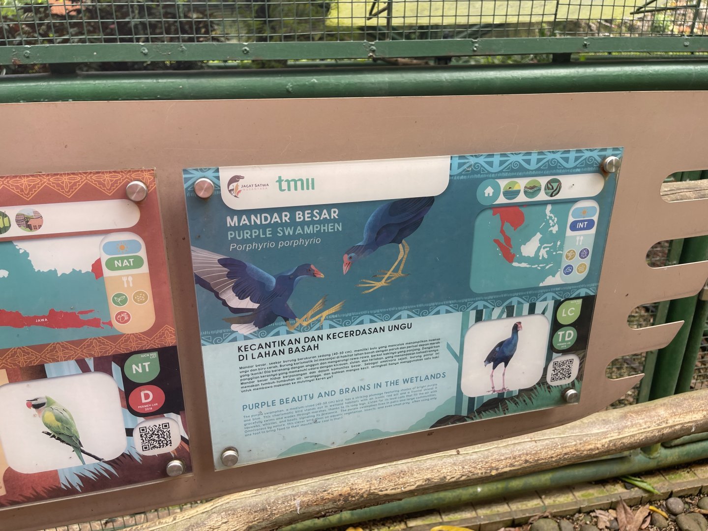 greater sunda - western swamphen signage - taman burung