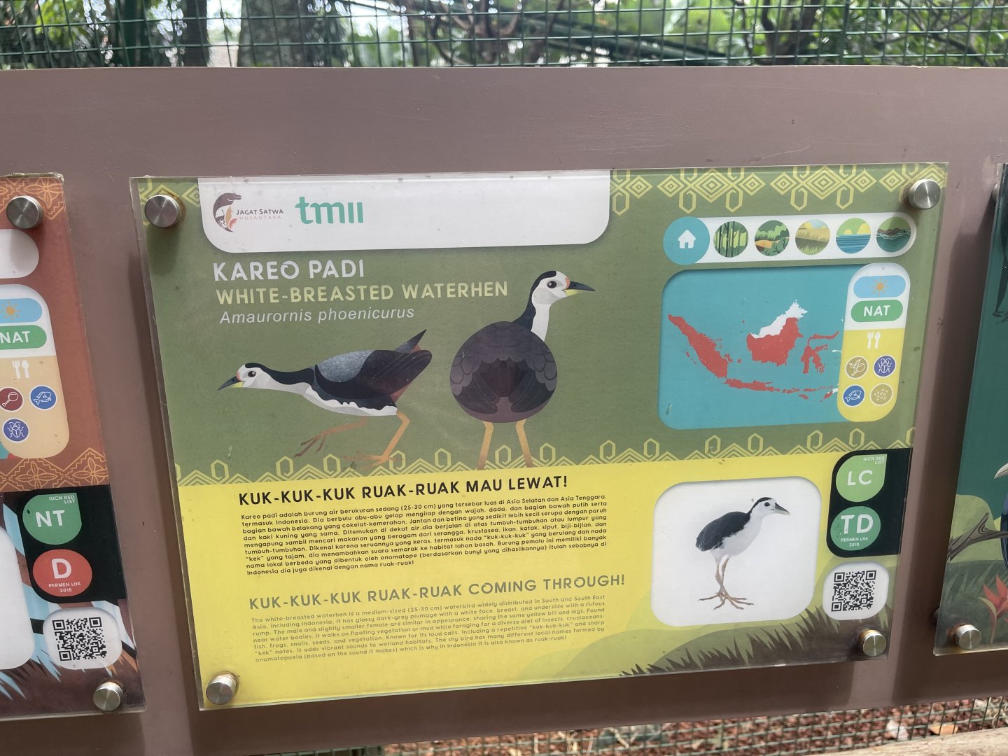 greater sunda - white-breasted waterhen signage - taman burung