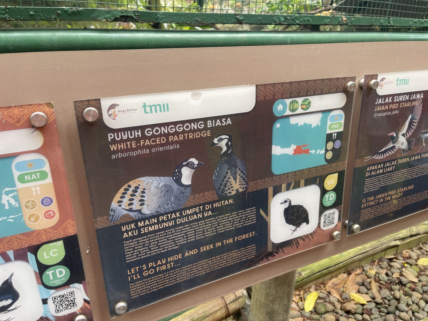 greater sunda - white-faced partridge signage - taman burung