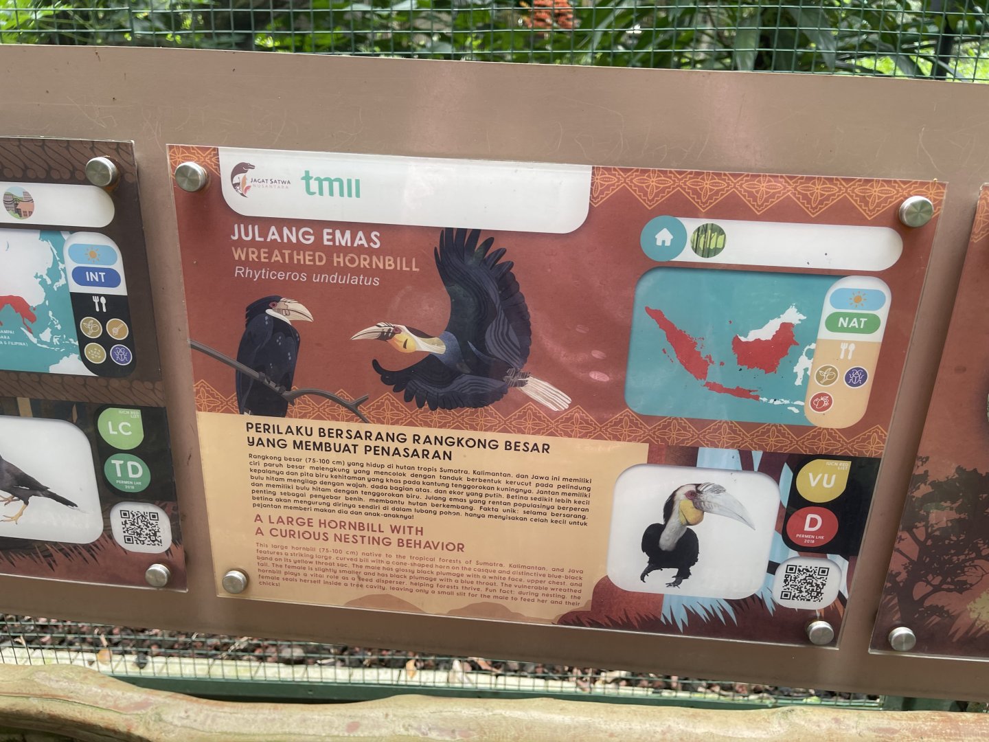 greater sunda - wreathed hornbill signage - taman burung