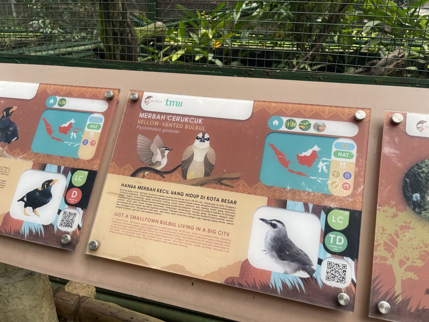 greater sunda - yellow-vented bulbul signage - taman burung