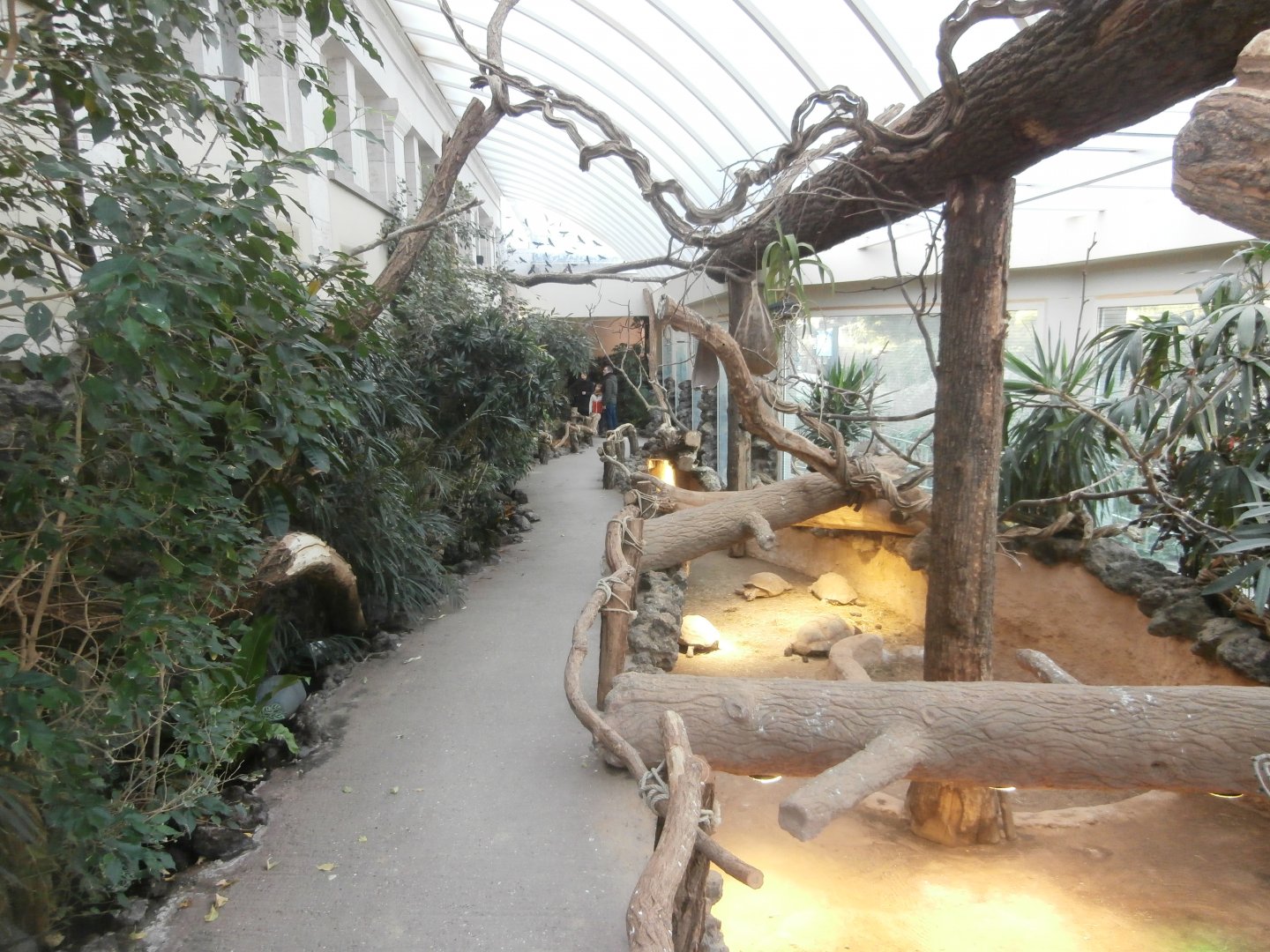 Greek Temple: Winter Garden