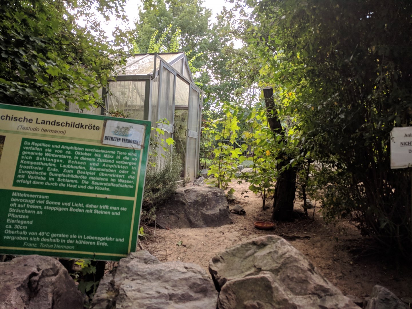 Greek Tortoise Enclosure