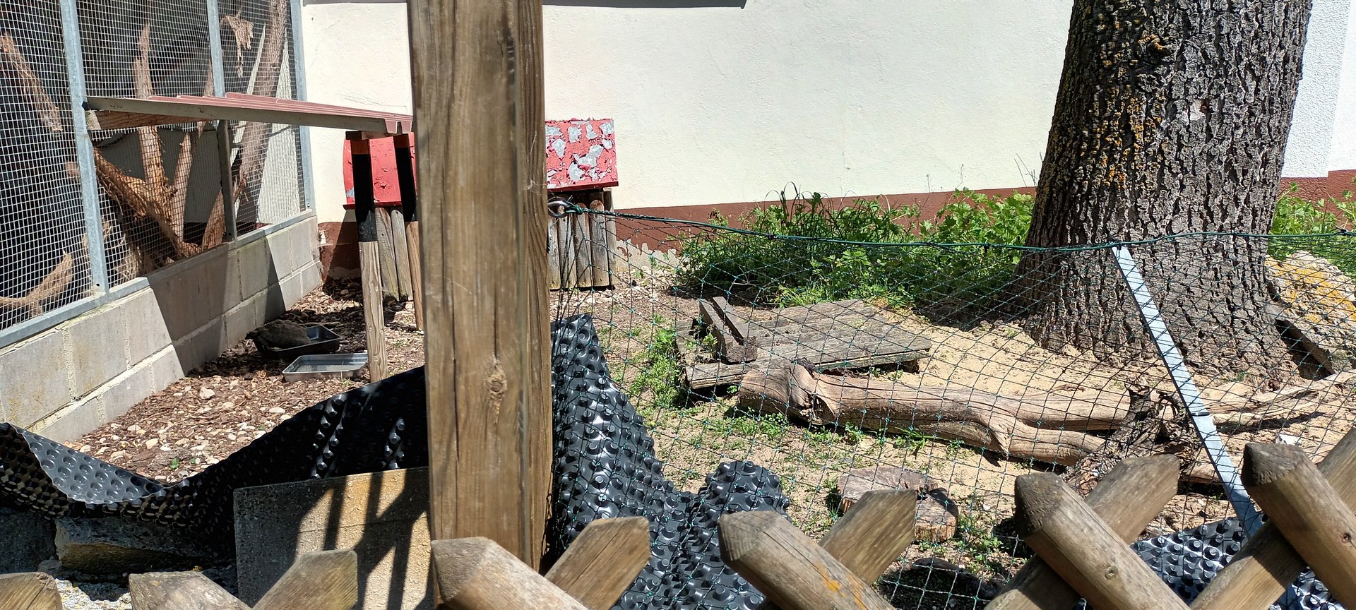 Greek Tortoise Enclosure