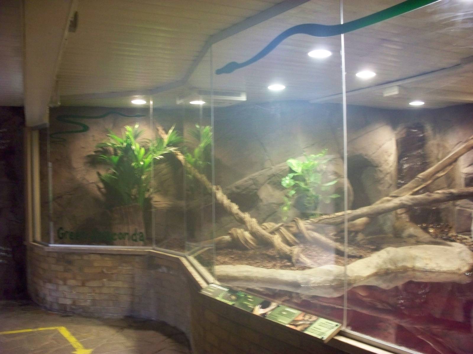 Green Anaconda 29 nov 2013