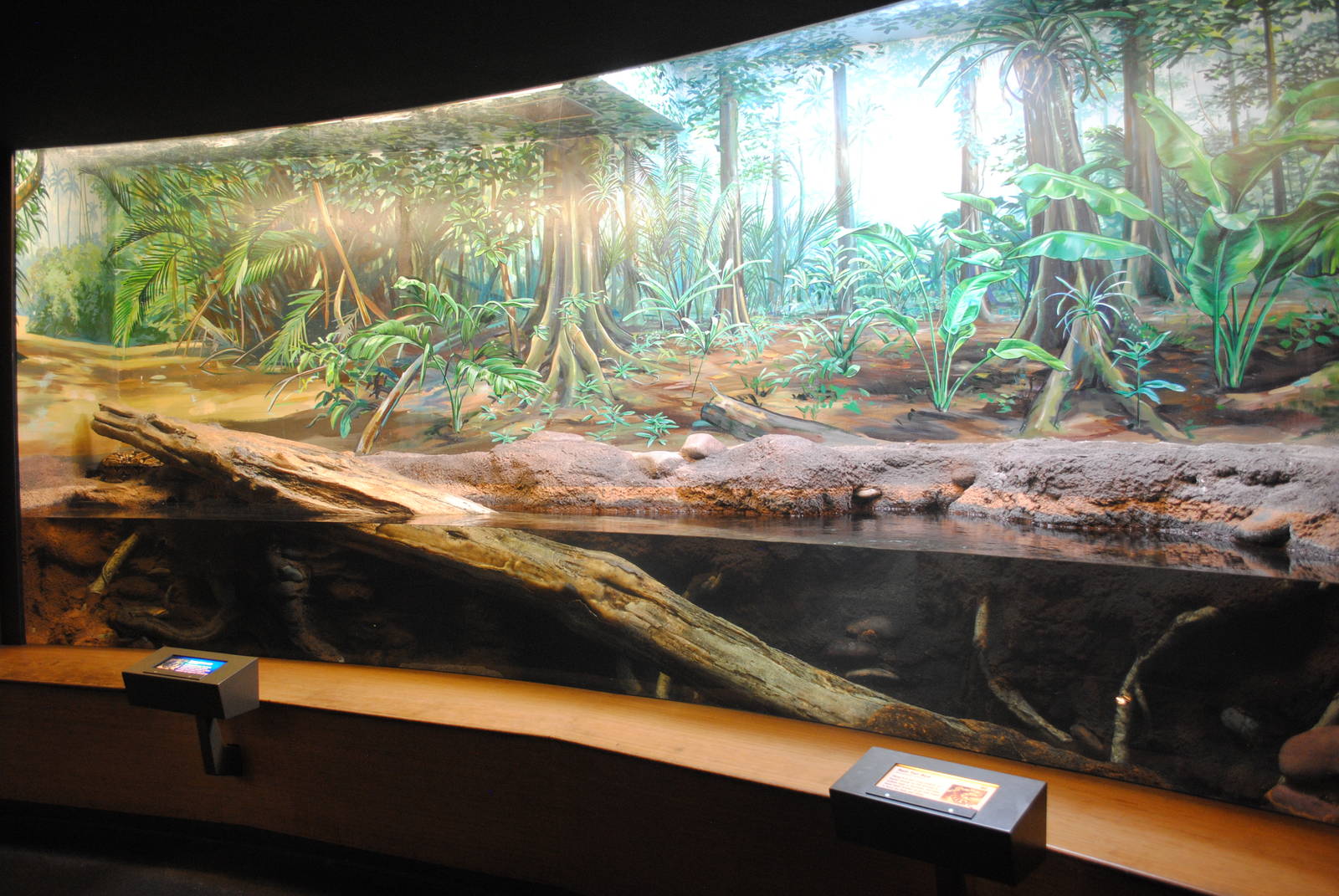 Green Anaconda/Boa Constrictor exhibit