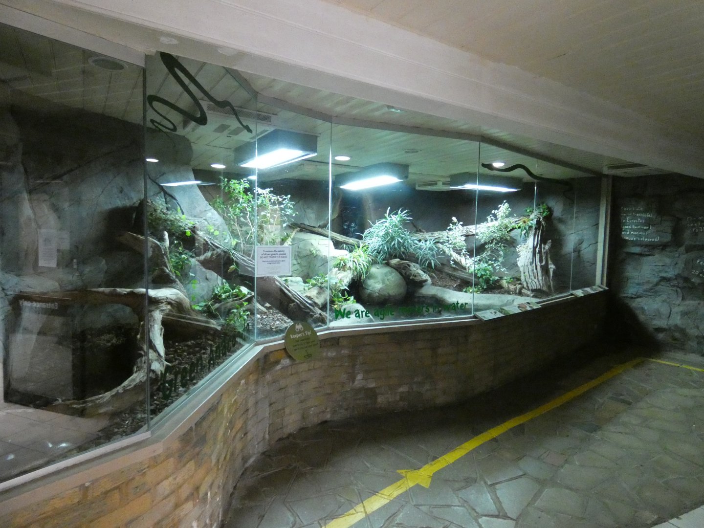 Green Anaconda enclosure