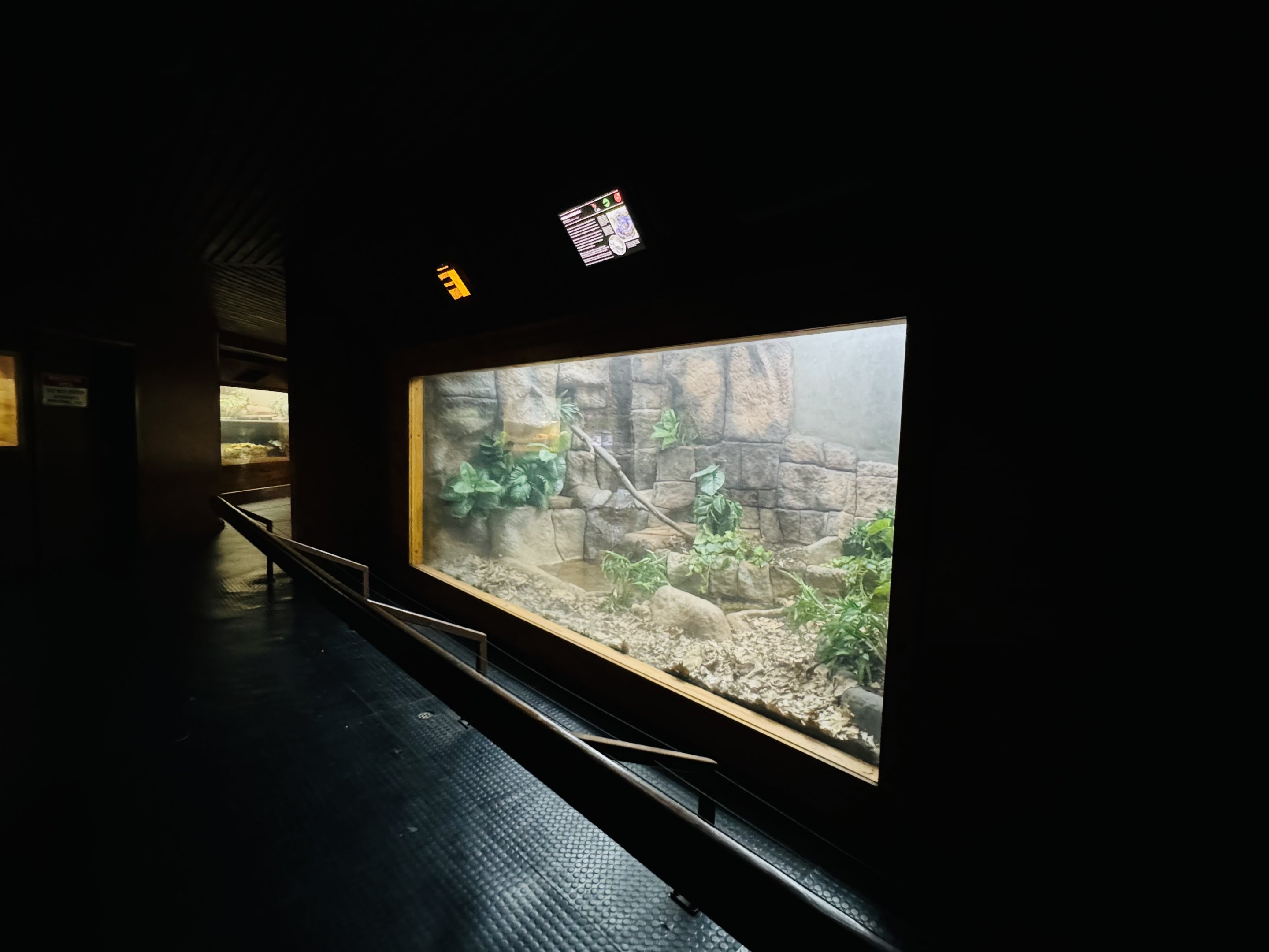 Green Anaconda enclosure