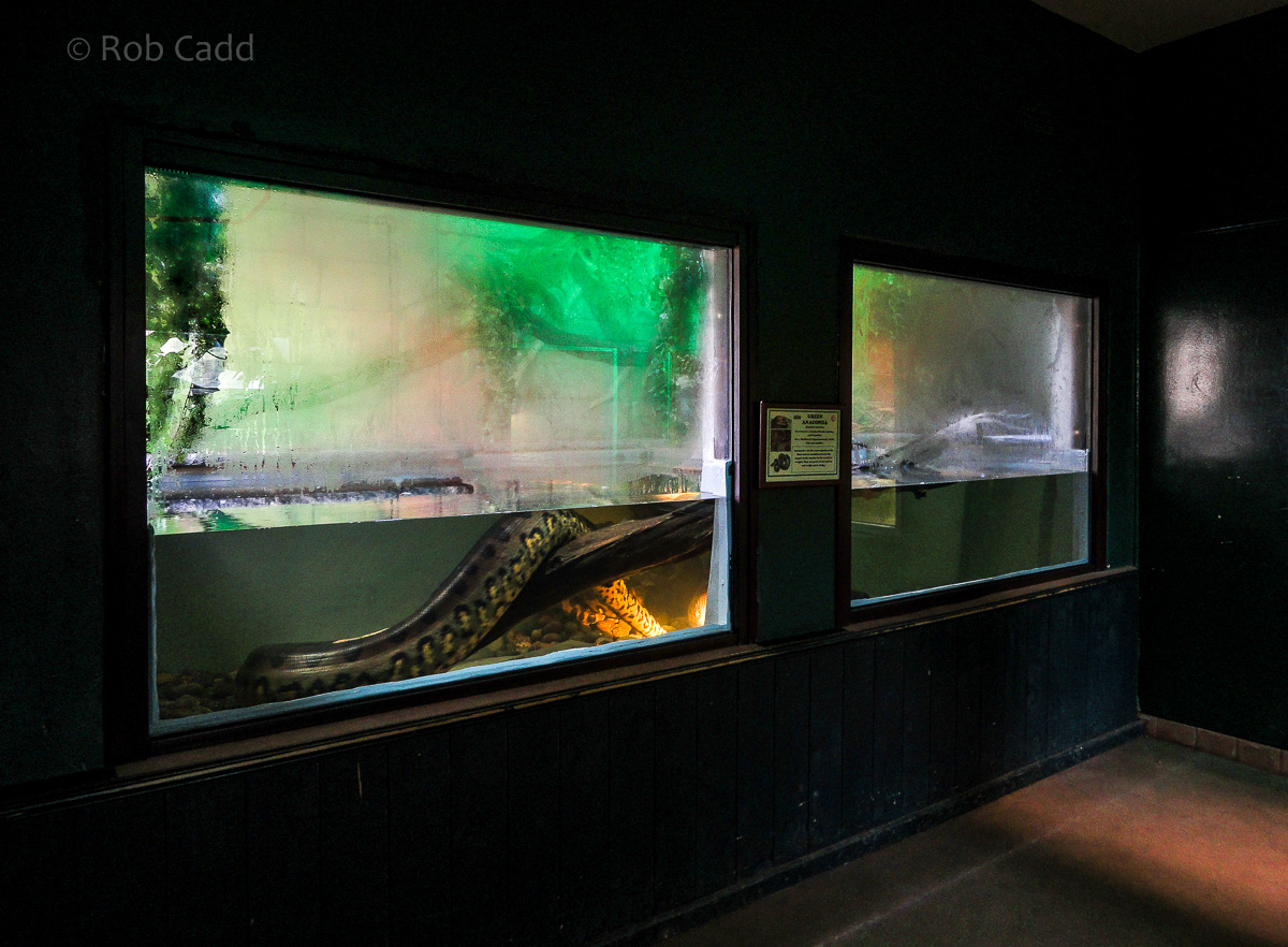 Green anaconda (exhibit) : Cotswold WP : 08 Apr 2016