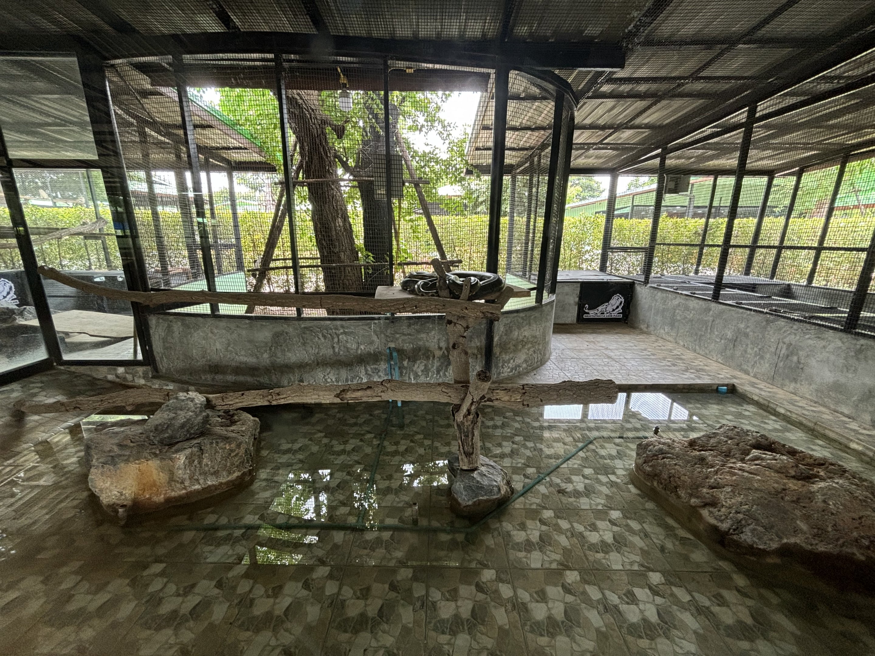 Green Anaconda Exhibit - Lion Park