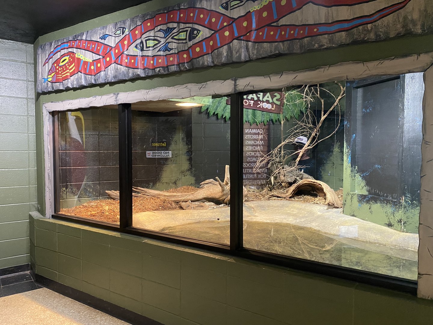 Green Anaconda Exhibit