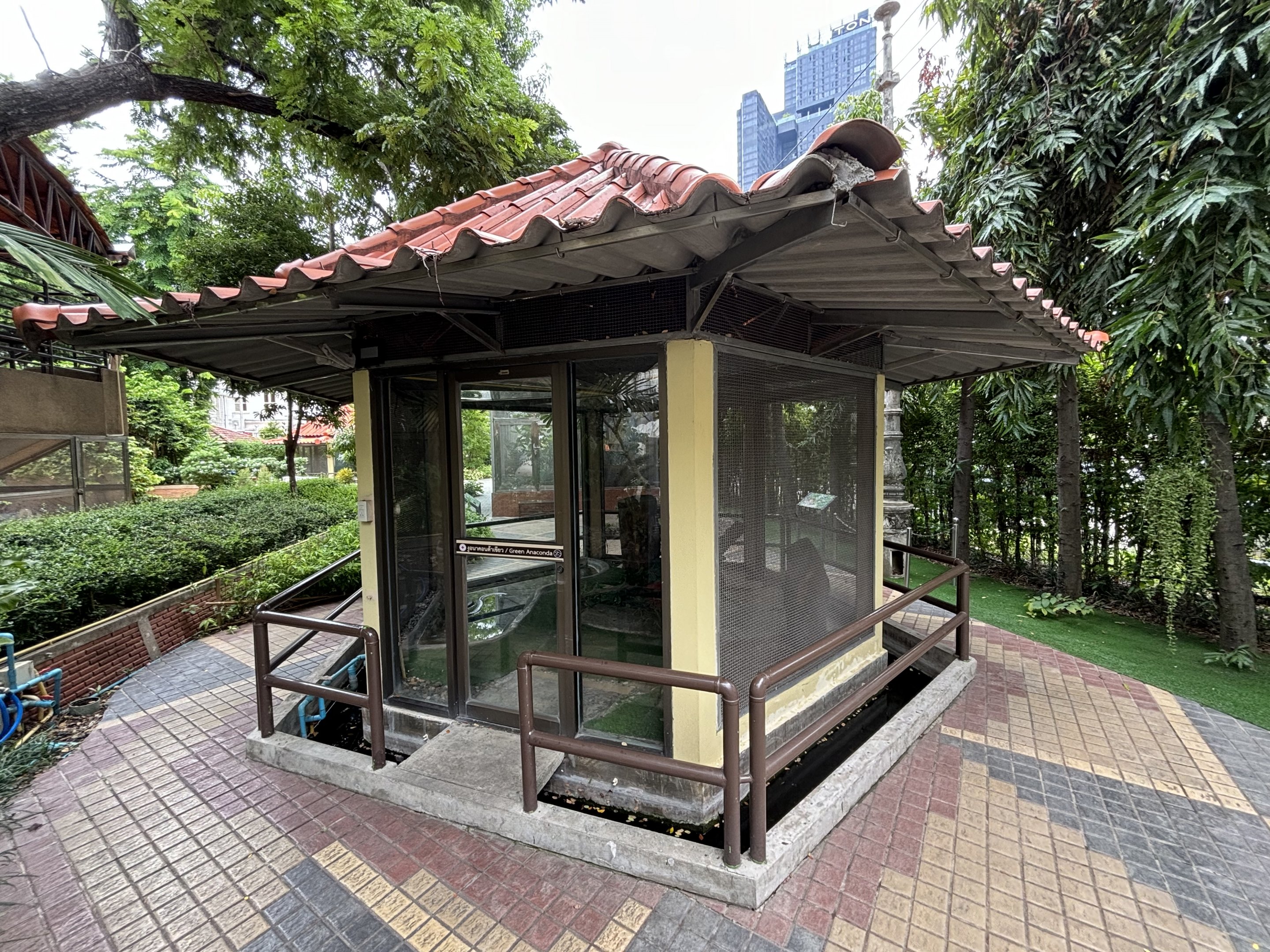 Green Anaconda Exhibit