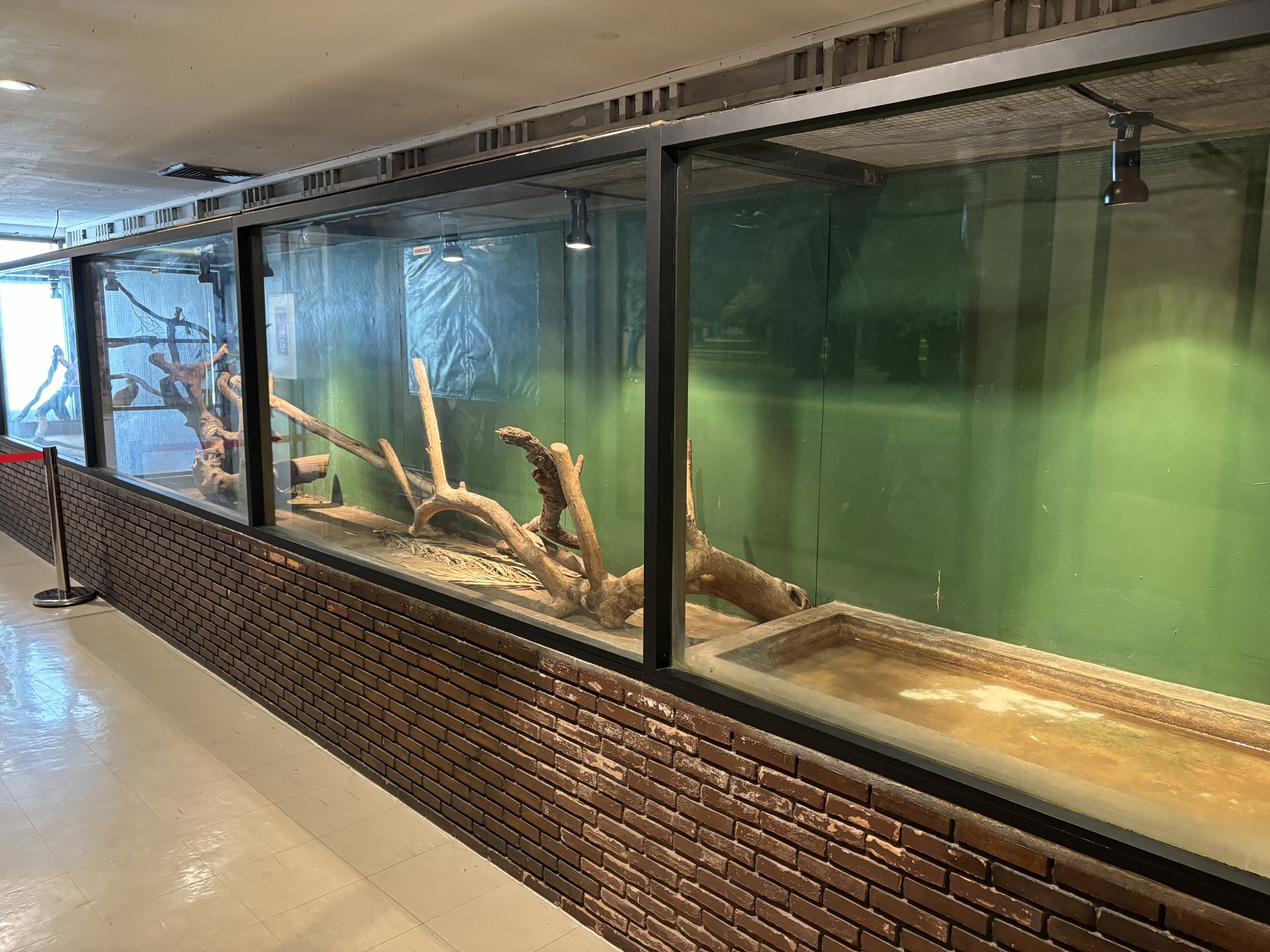 Green Anaconda Exhibit