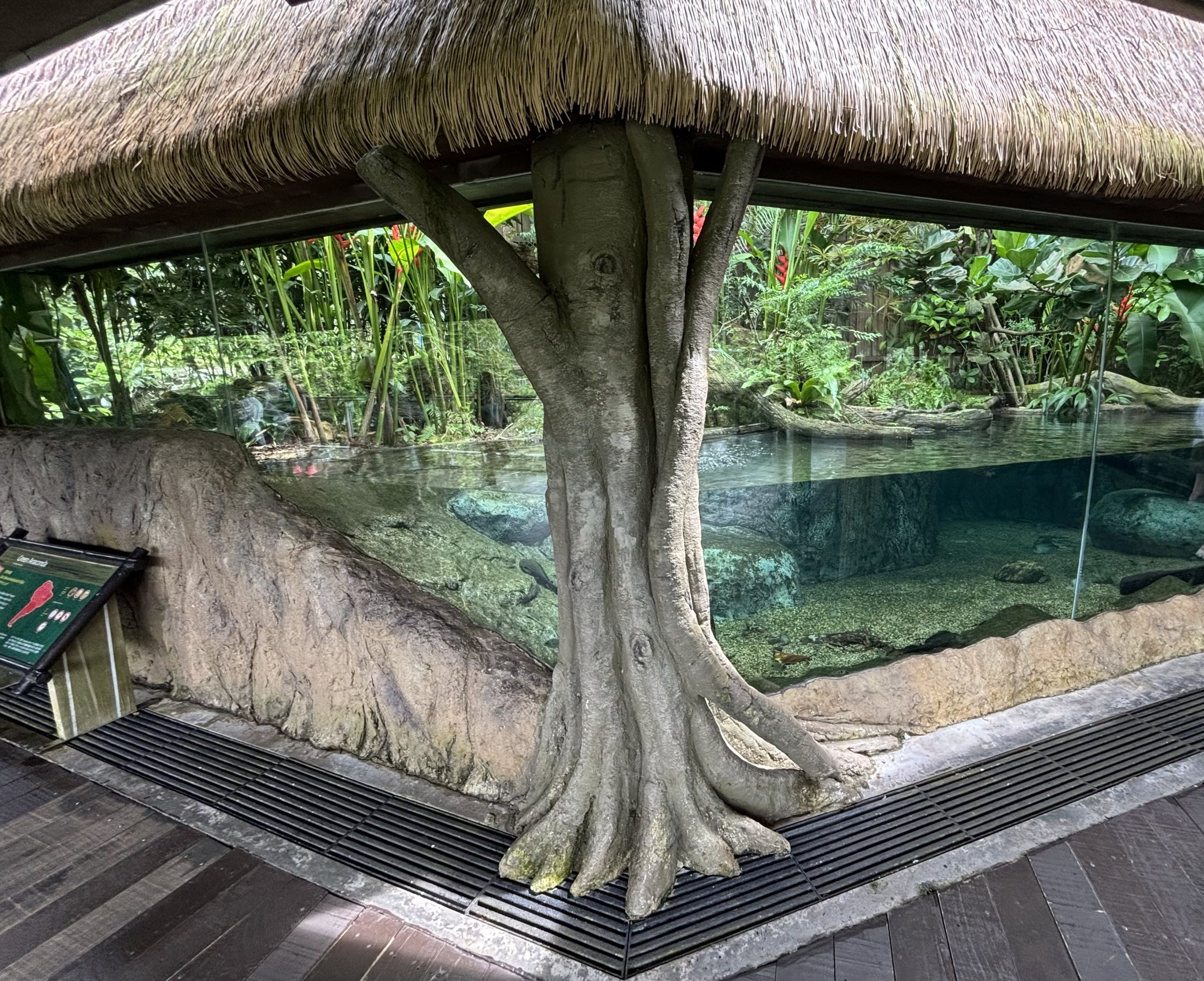 Green Anaconda Exhibit