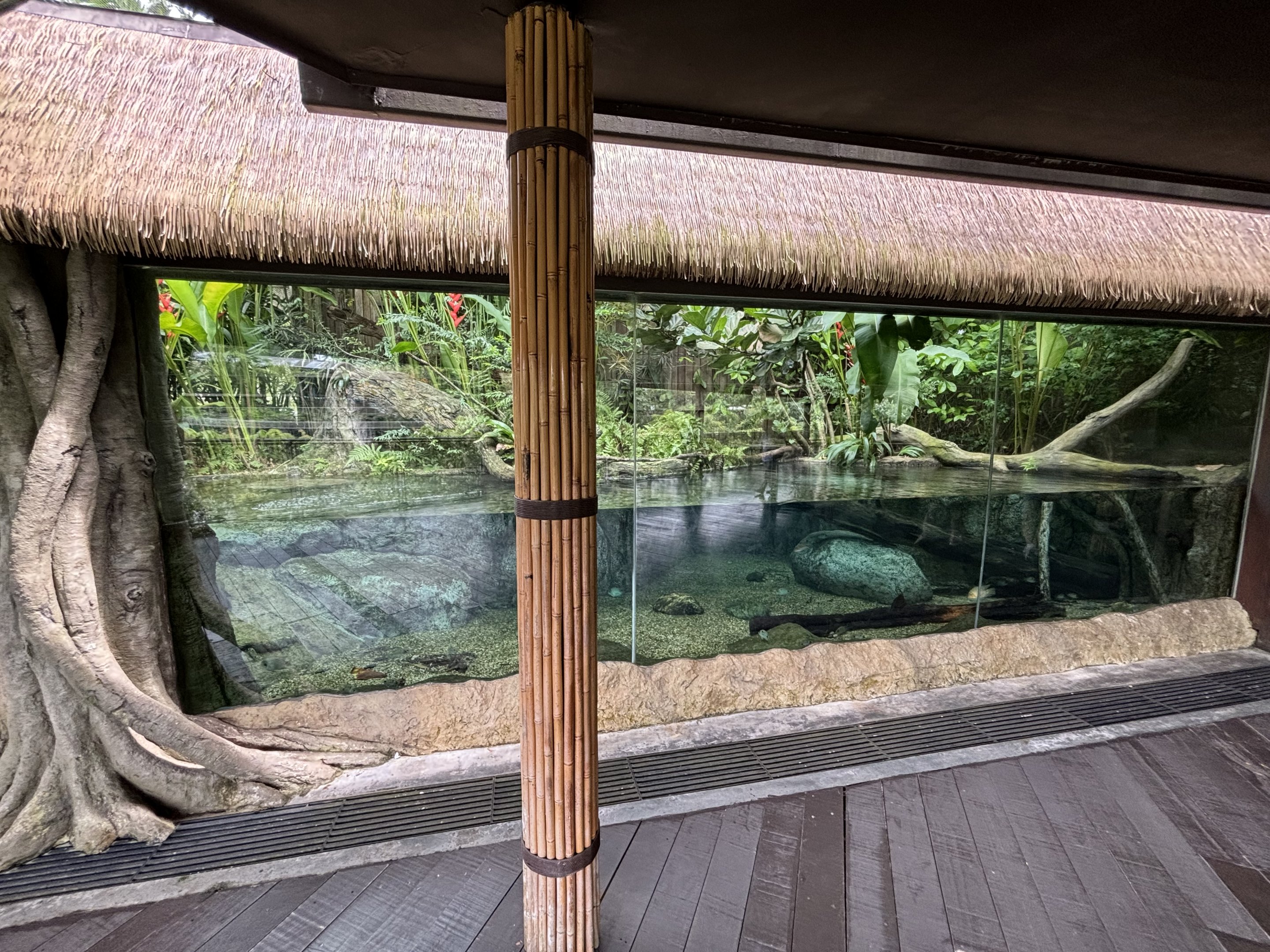 Green Anaconda Exhibit