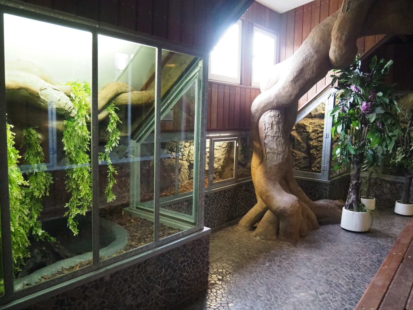 Green anaconda terrarium, 2022-05-17