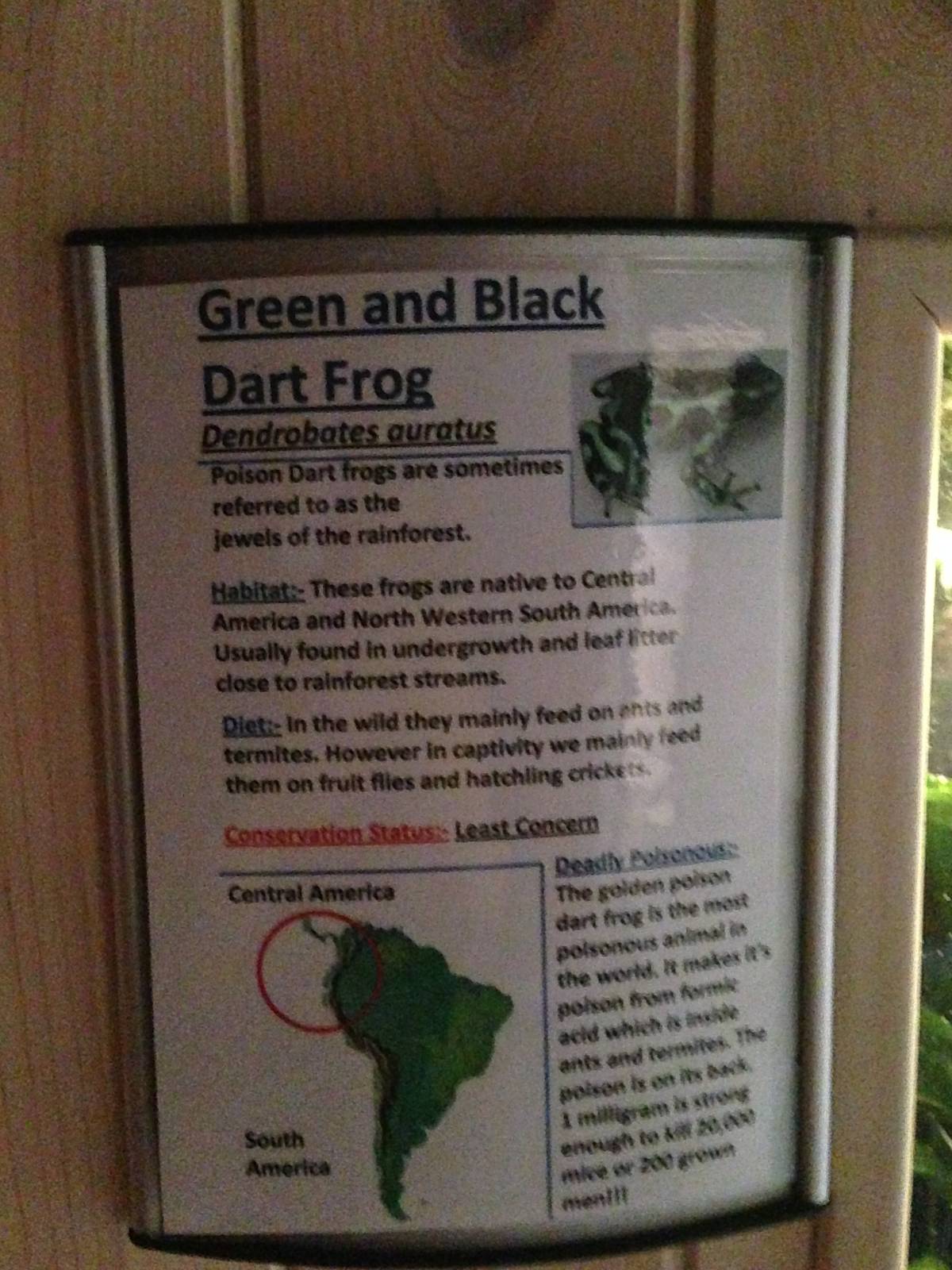 Green and Black Dart Frog Signage at Tropical World - 02/10/2013