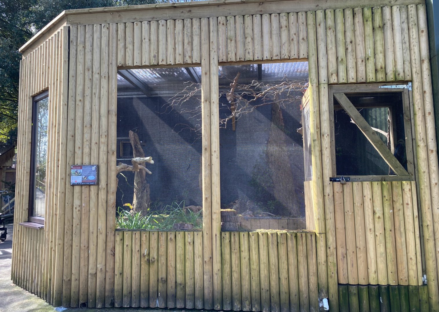 Green Aracari Aviary, Dudley, UK