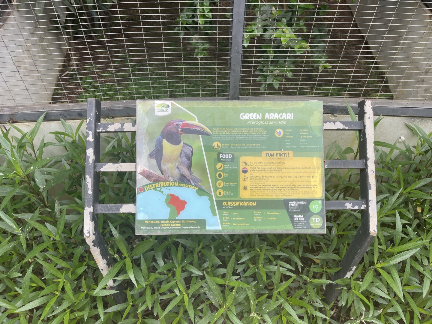 green aracari signage - aviary park