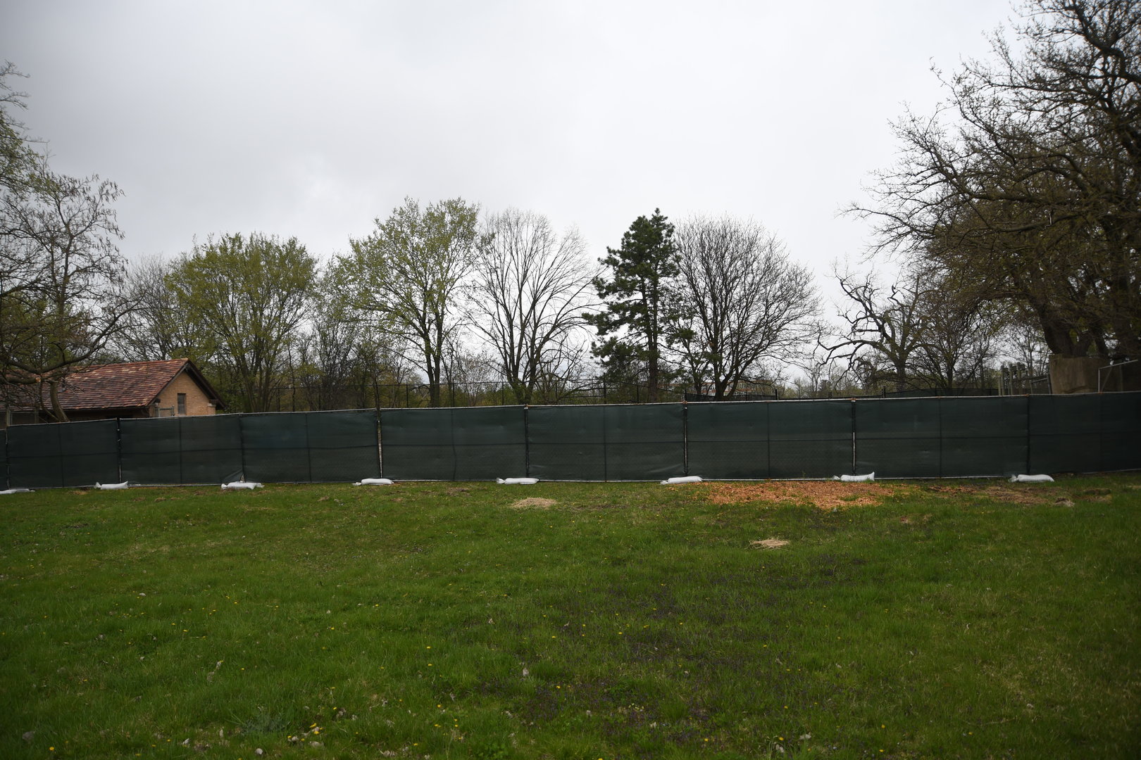 Green barn is no more - Hoofed Animals